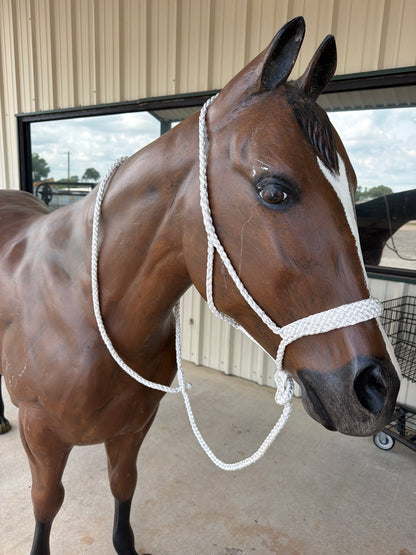 01 Mule Tape Halter 1 1/4" Nose