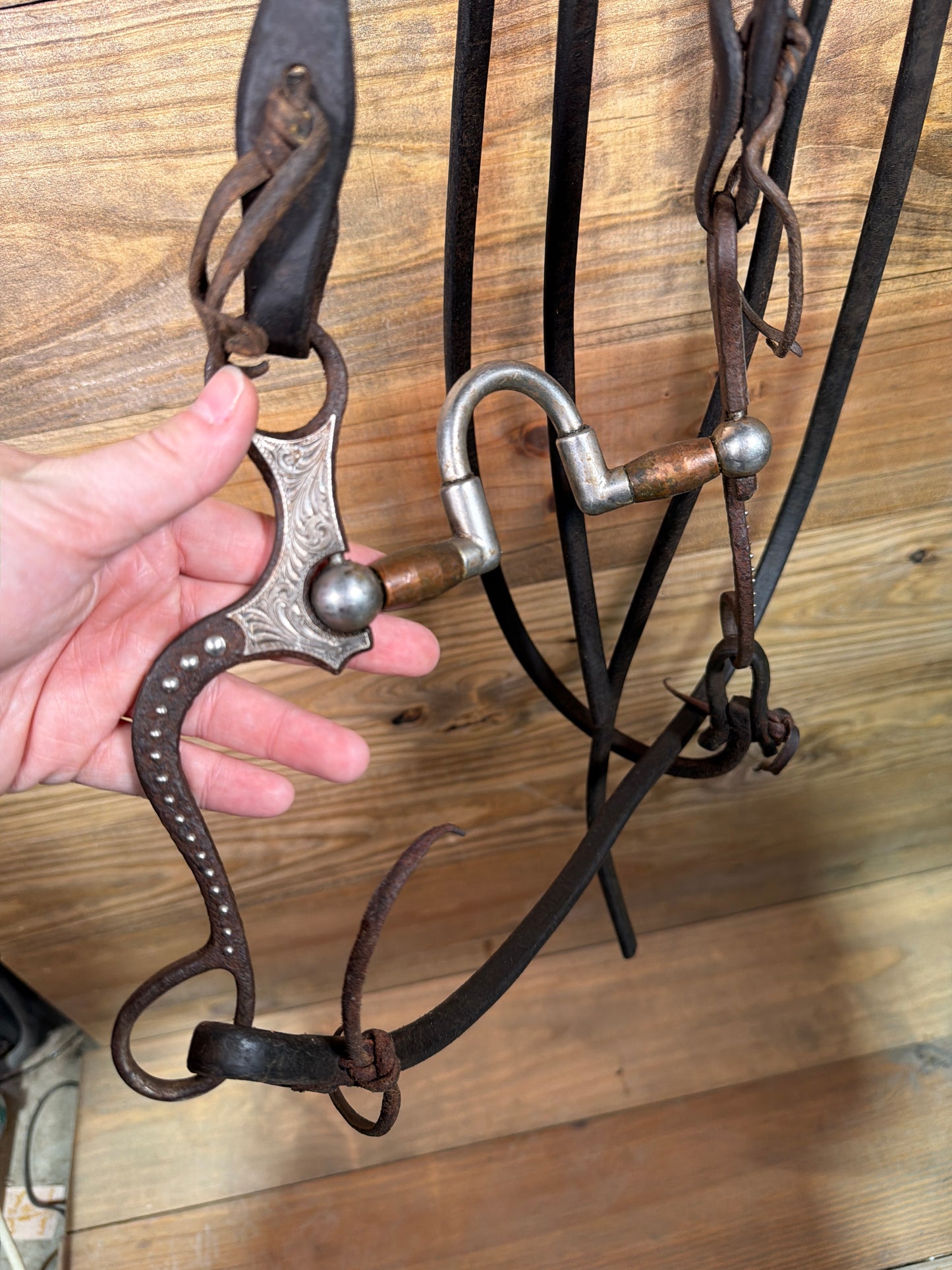 ISUB062 Tom Balding Sheridan Pro Roller Bridle
