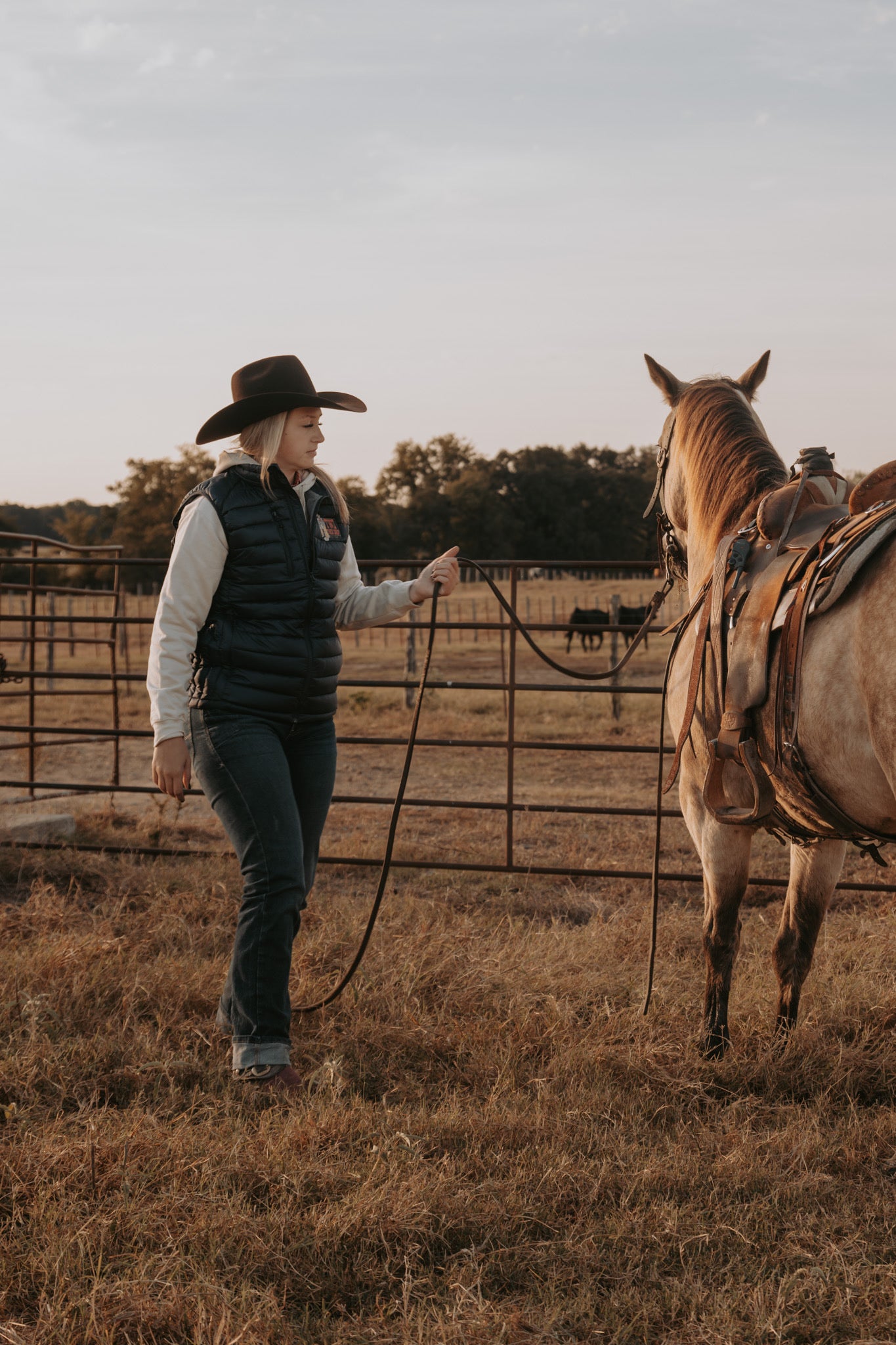 TWS Tack Shop Cowboy Puffer Vest Navy