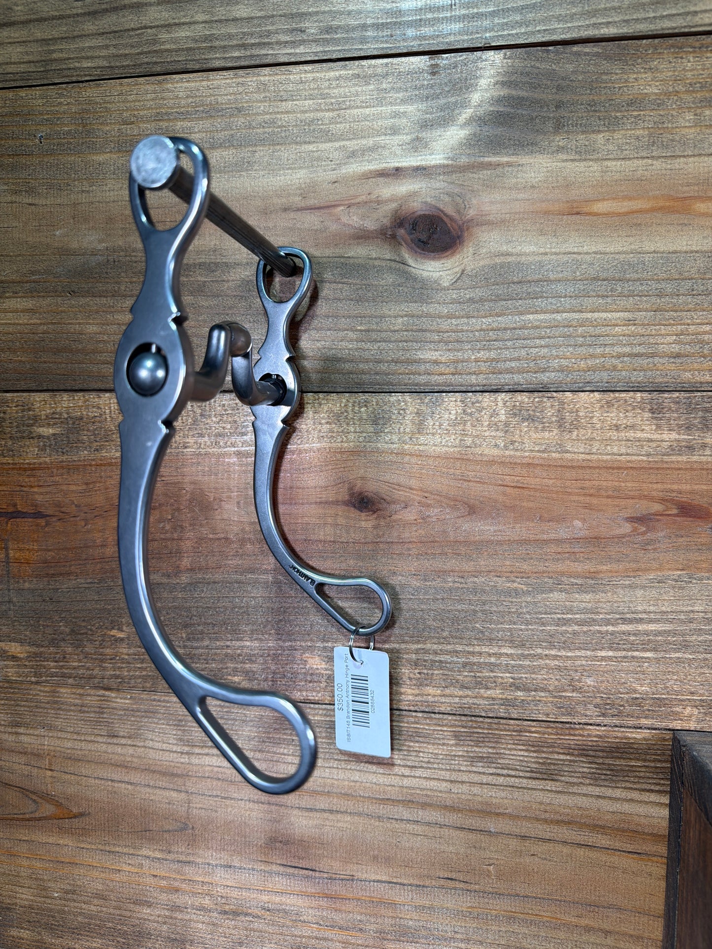 ISBIT148 Brandon Anthony Hinge Port