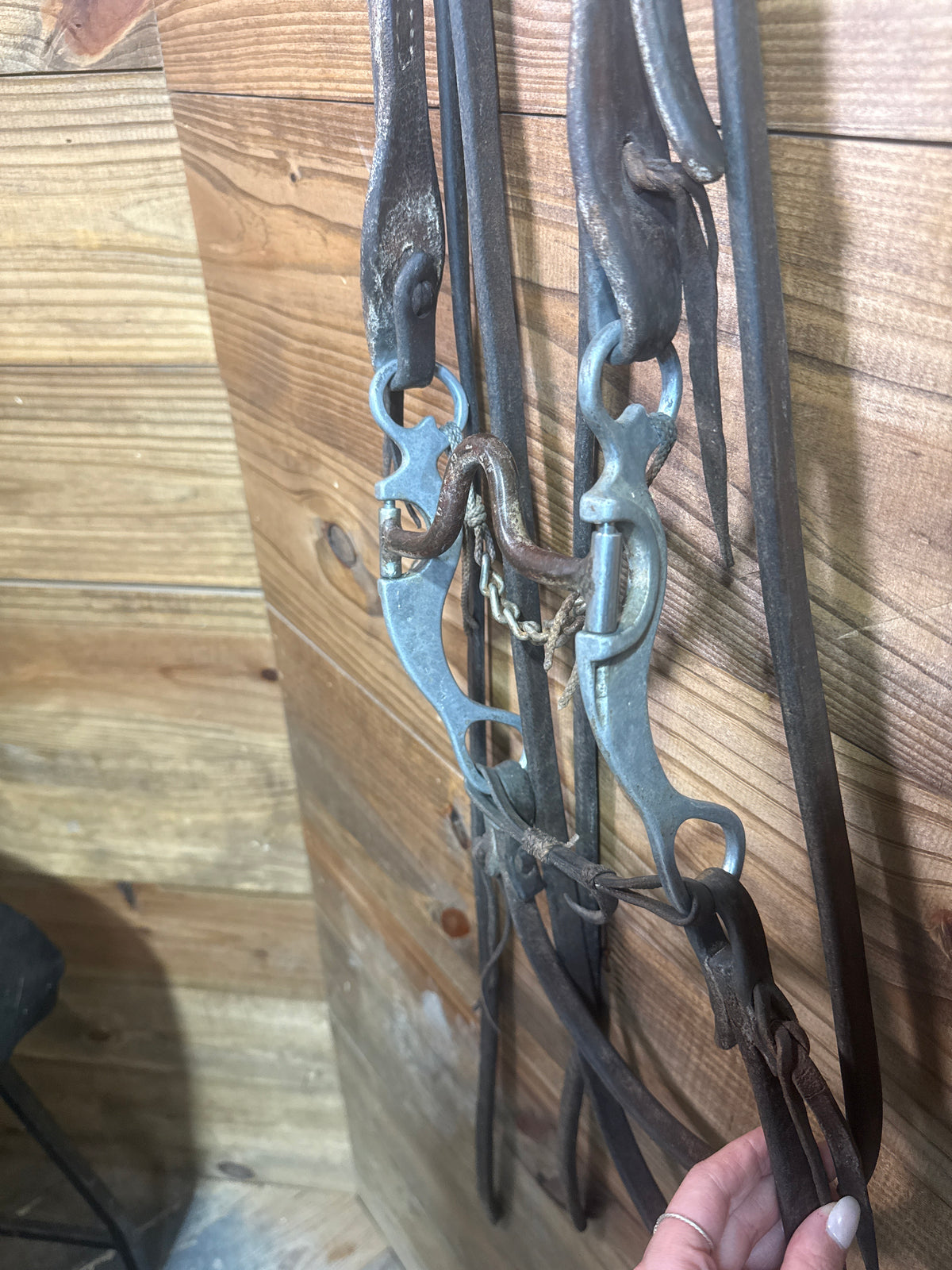 ISUB100 Francois Gauthier Design Bridle