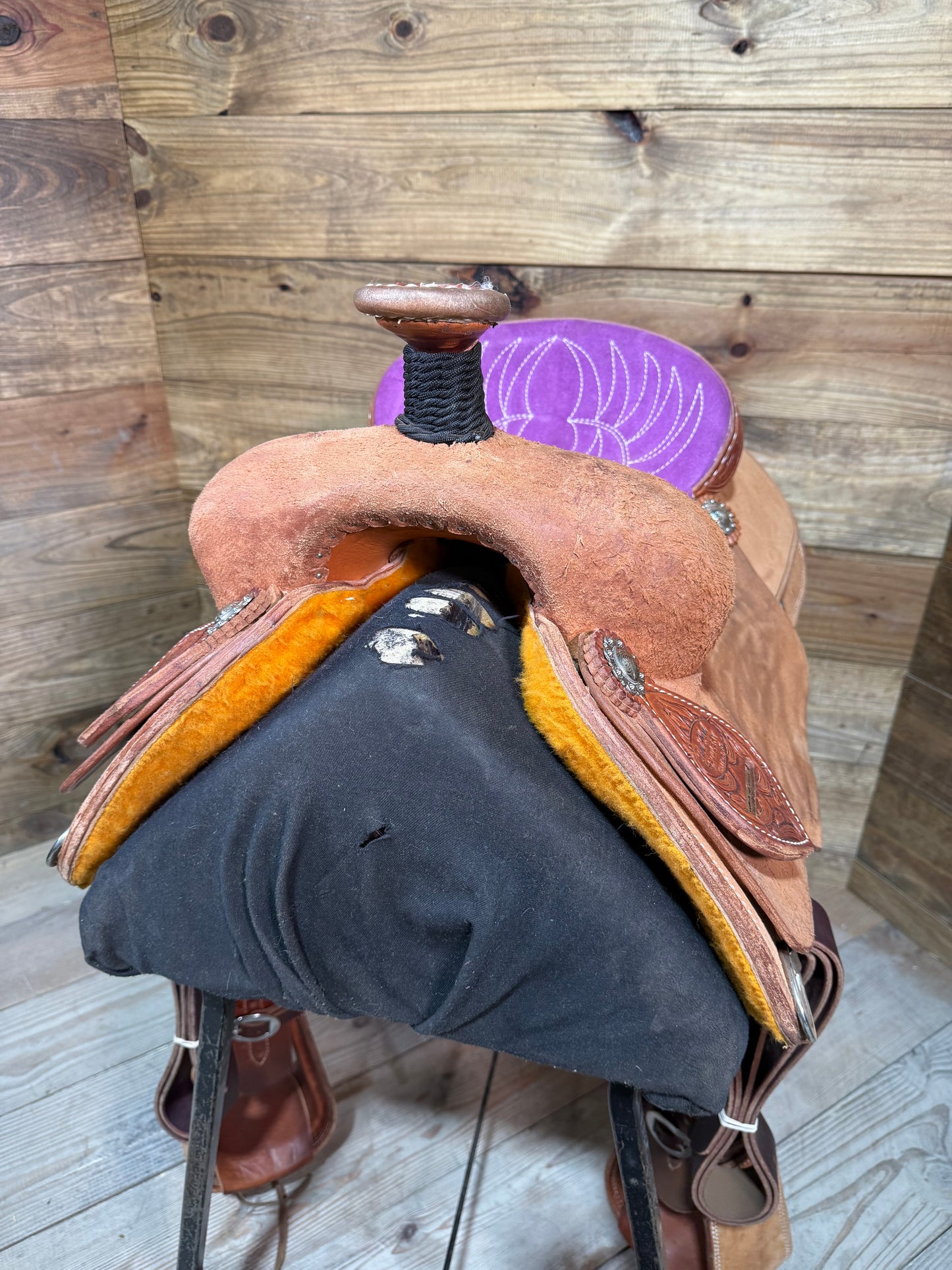 Trent Ward AZ Roper ISTR444-25