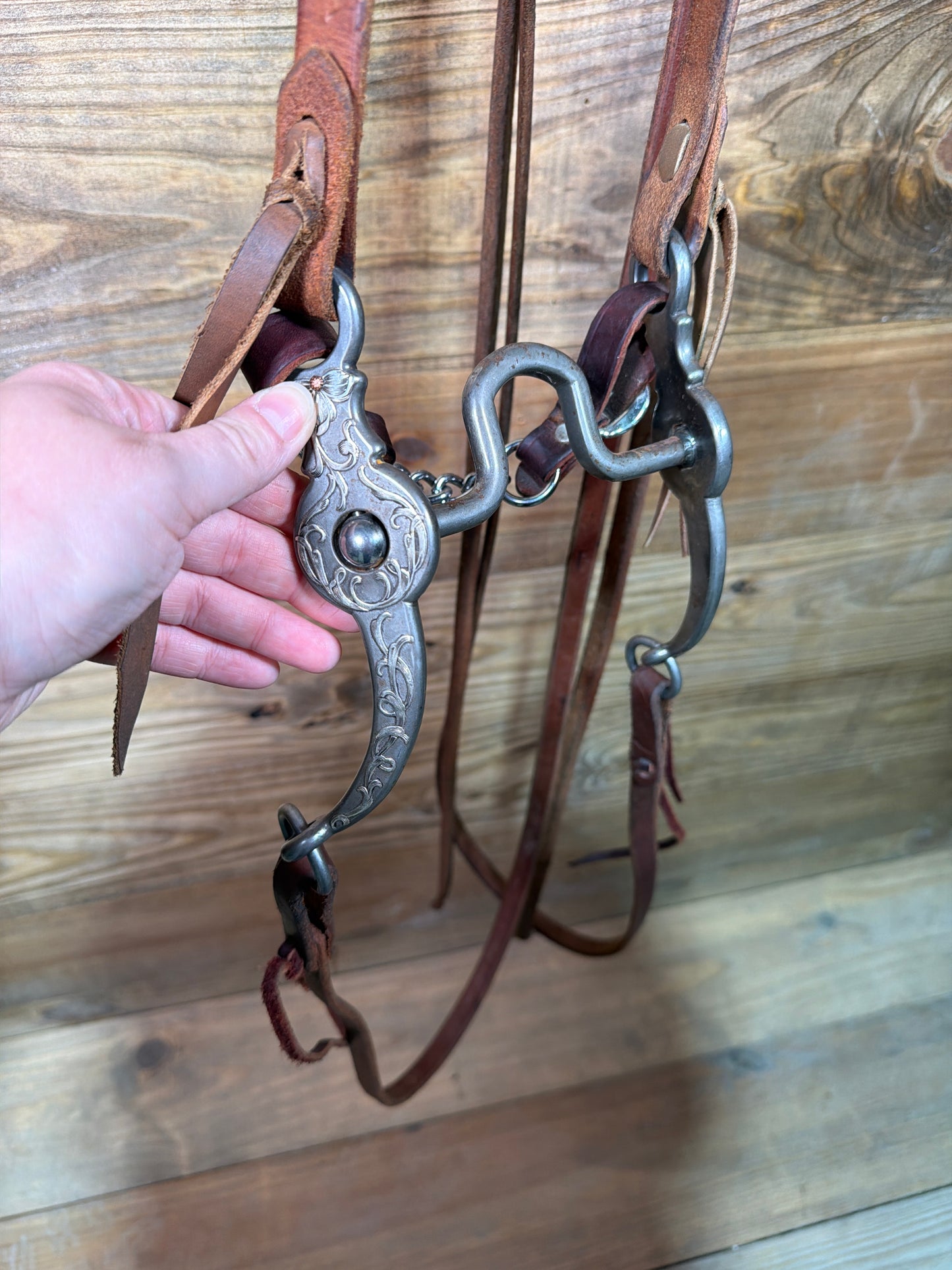 ISUB059 Brandon Anthony Loomis Port Bridle