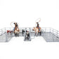 Little Busters Roping Box- Gray