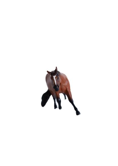 Little Buster's Barrel Horse Bay Gelding