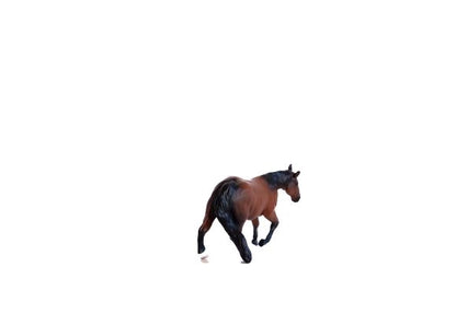 Little Buster's Barrel Horse Bay Gelding