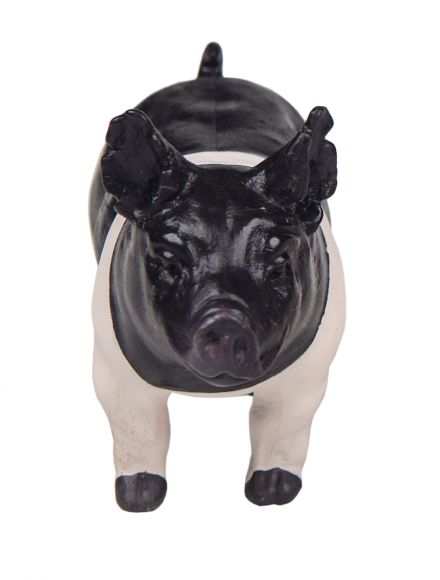 Little Buster's Champion Hamp Pig