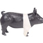 Little Buster's Champion Hamp Pig