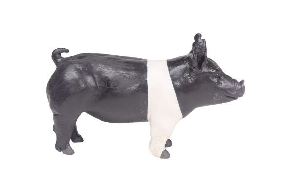 Little Buster's Champion Hamp Pig