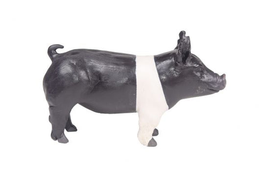 Little Buster's Champion Hamp Pig