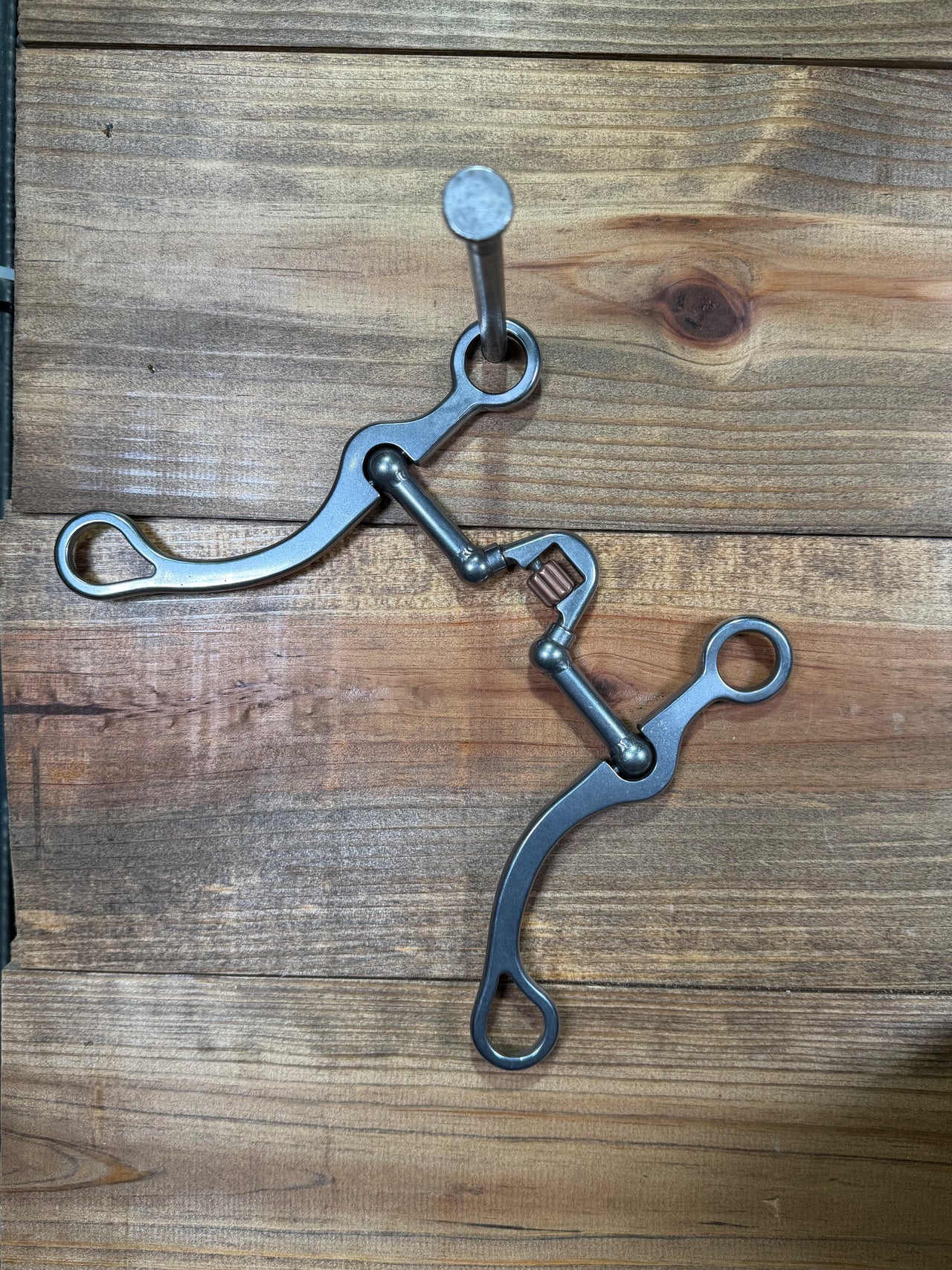 ISBIT132 Brandon Anthony V Correction w/ Cricket