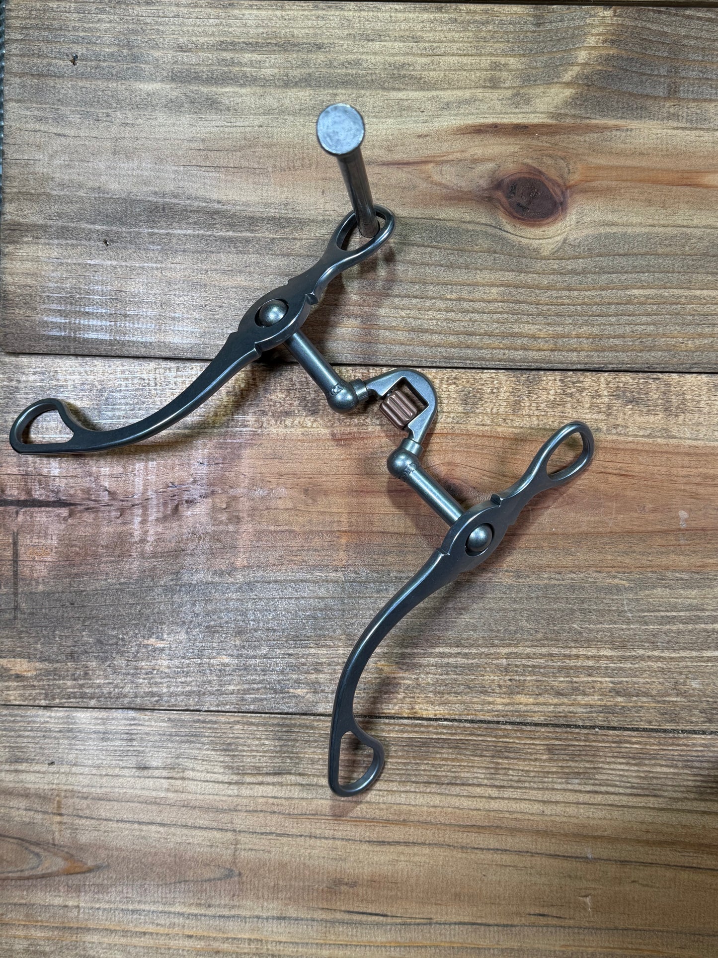 ISBIT130 Brandon Anthony V Correction w/ Cricket