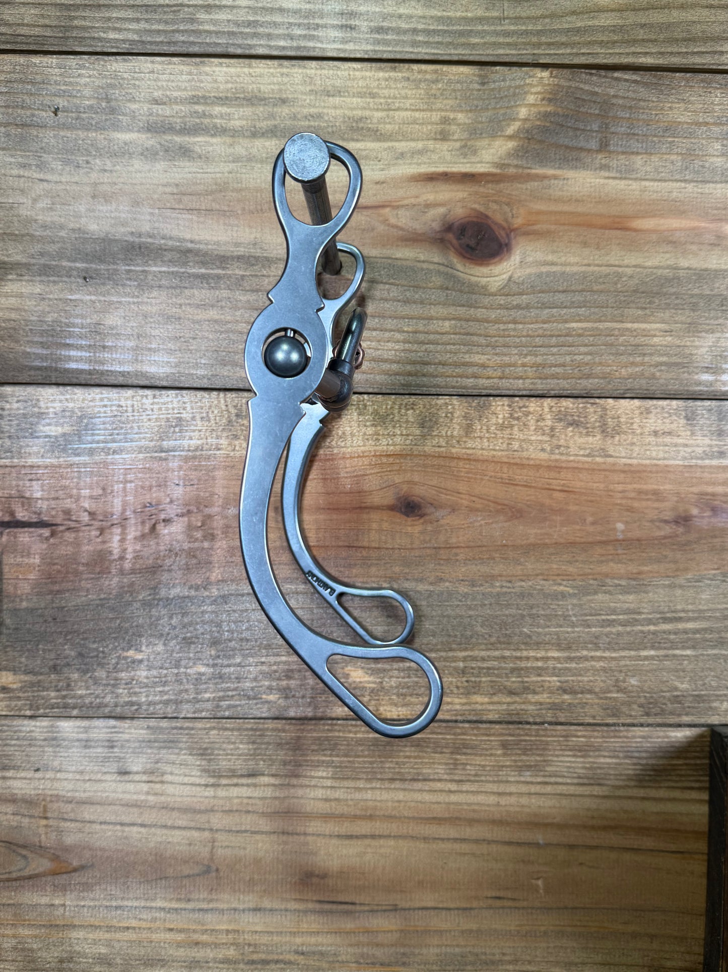 ISBIT130 Brandon Anthony V Correction w/ Cricket