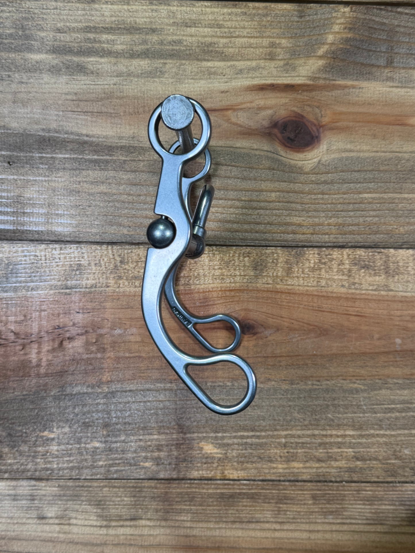 ISBIT127 Brandon Anthony V Correction