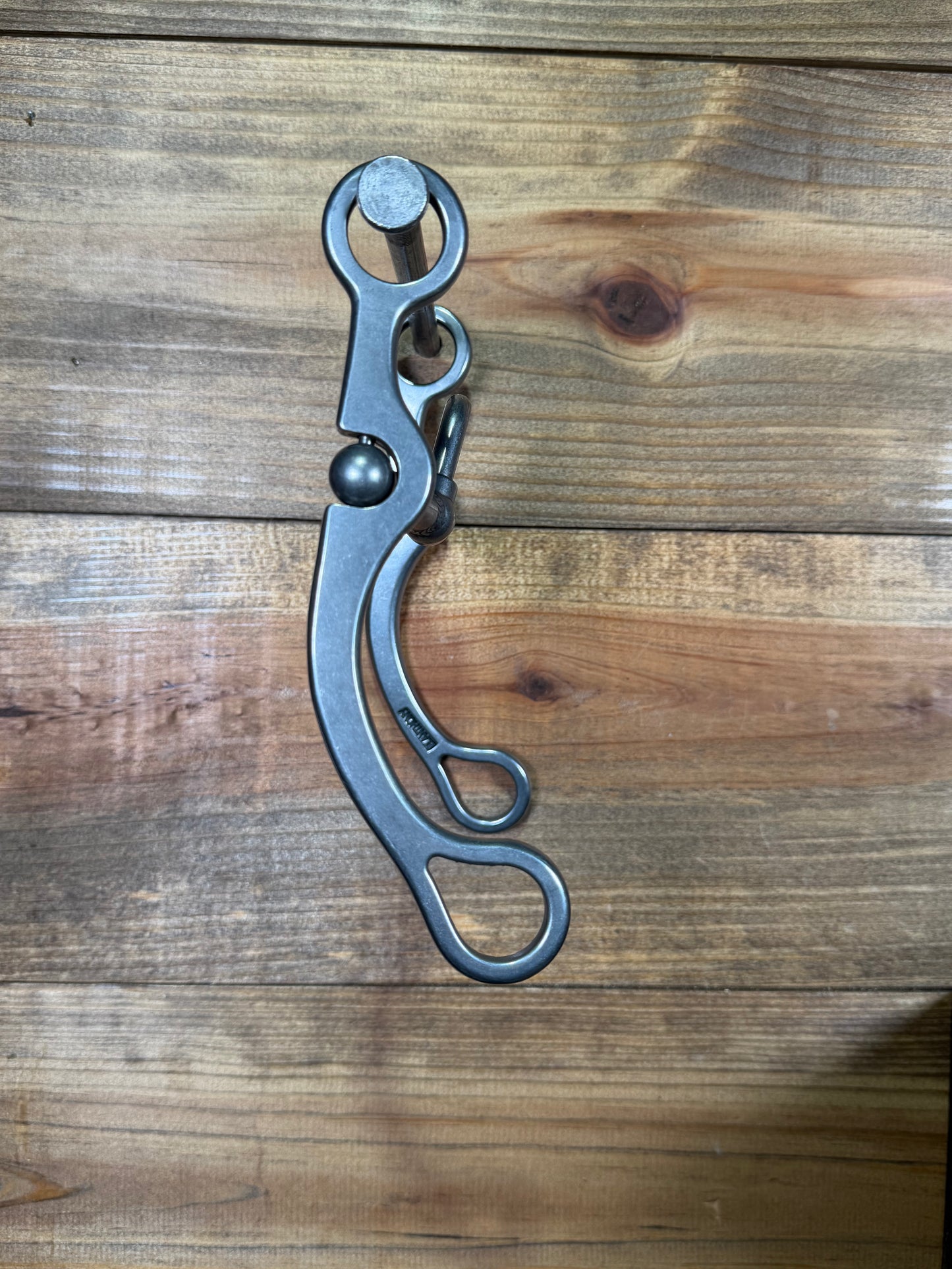 ISBIT129 Brandon Anthony V Correction