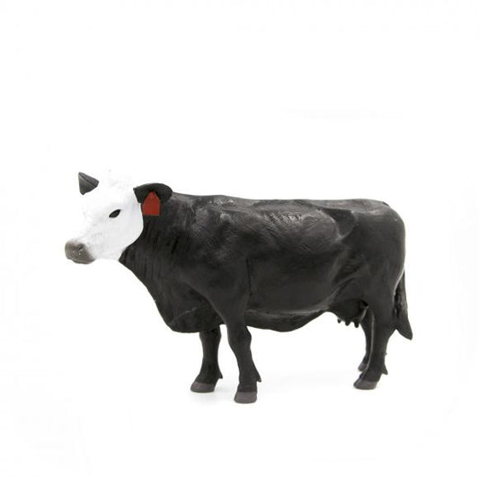 Little Buster's Black Baldy Cow