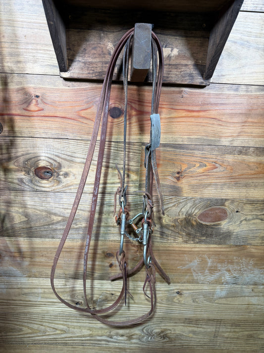 ISUB042 Horse Bits Custom Bridle