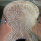 Trent Ward Platinum Calf Roper ISPR964-25