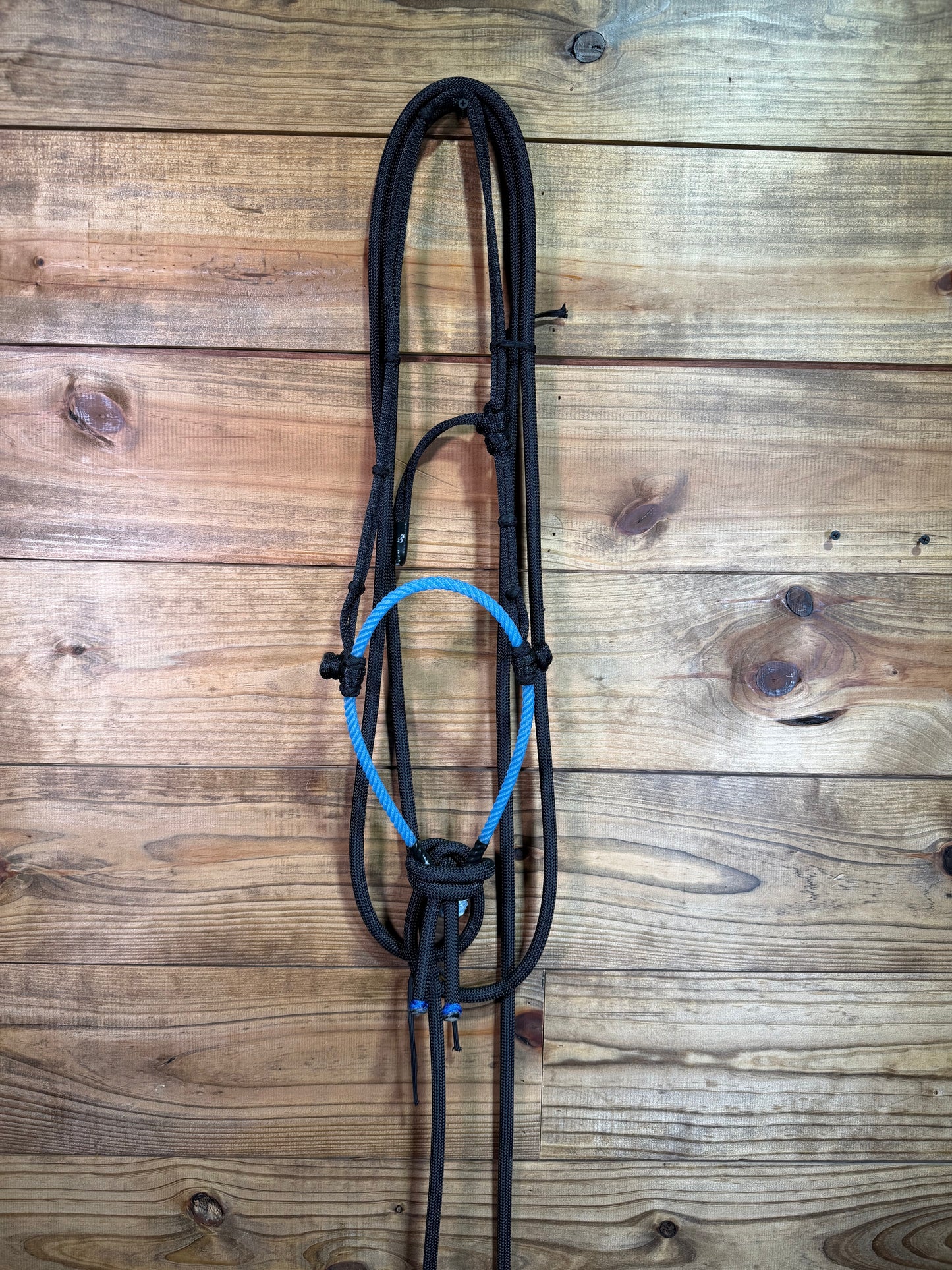Electric Blue Bosal #2