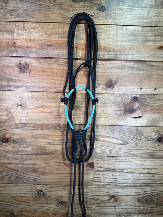 Turquoise Bosal #2