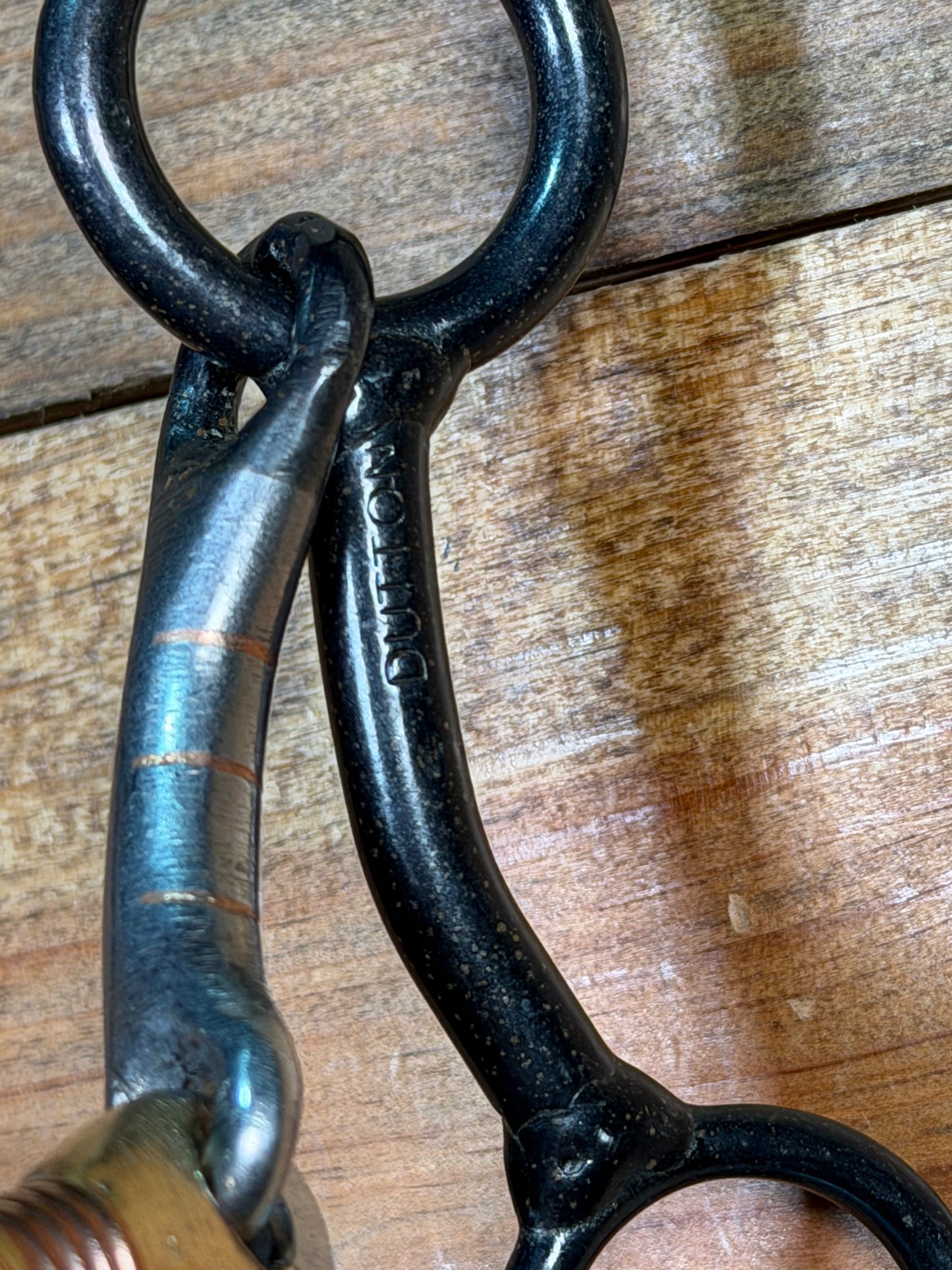 Z2-19 Dutton 3 Piece Dog Bone