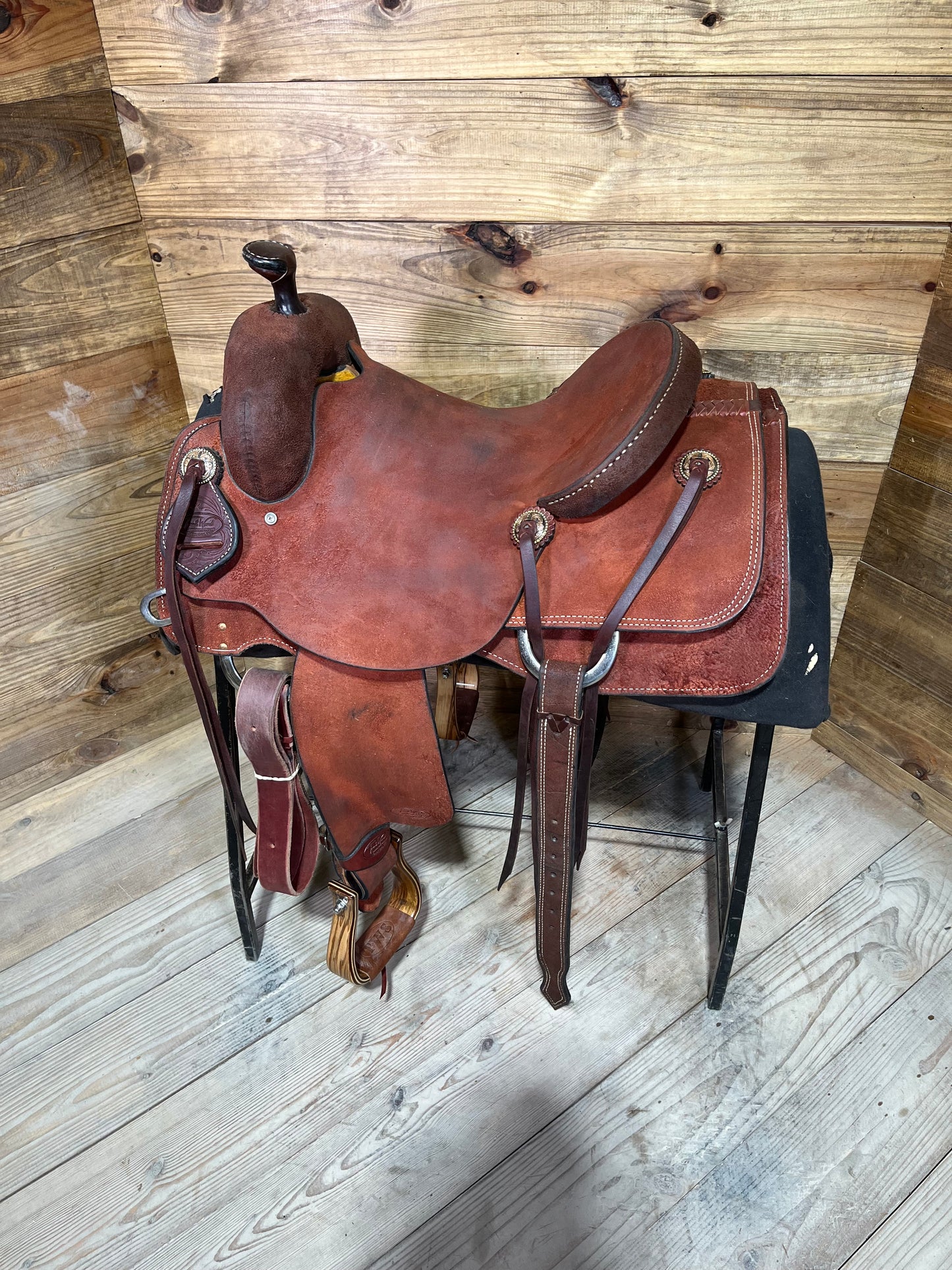 Demo Trent Ward Signature Cow Horse ISUSED1979