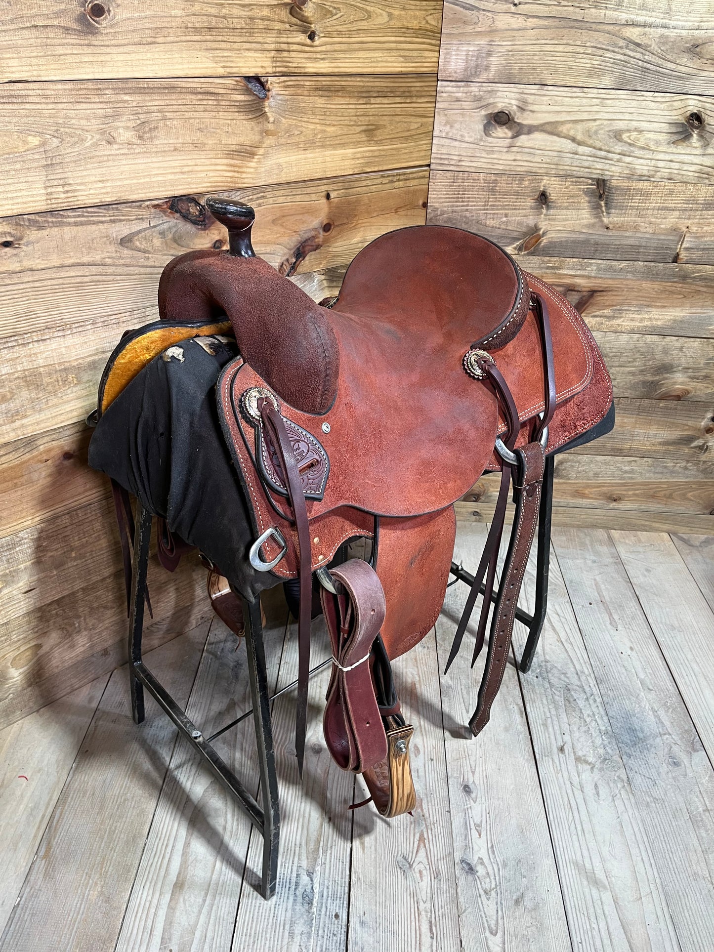 Demo Trent Ward Signature Cow Horse ISUSED1979