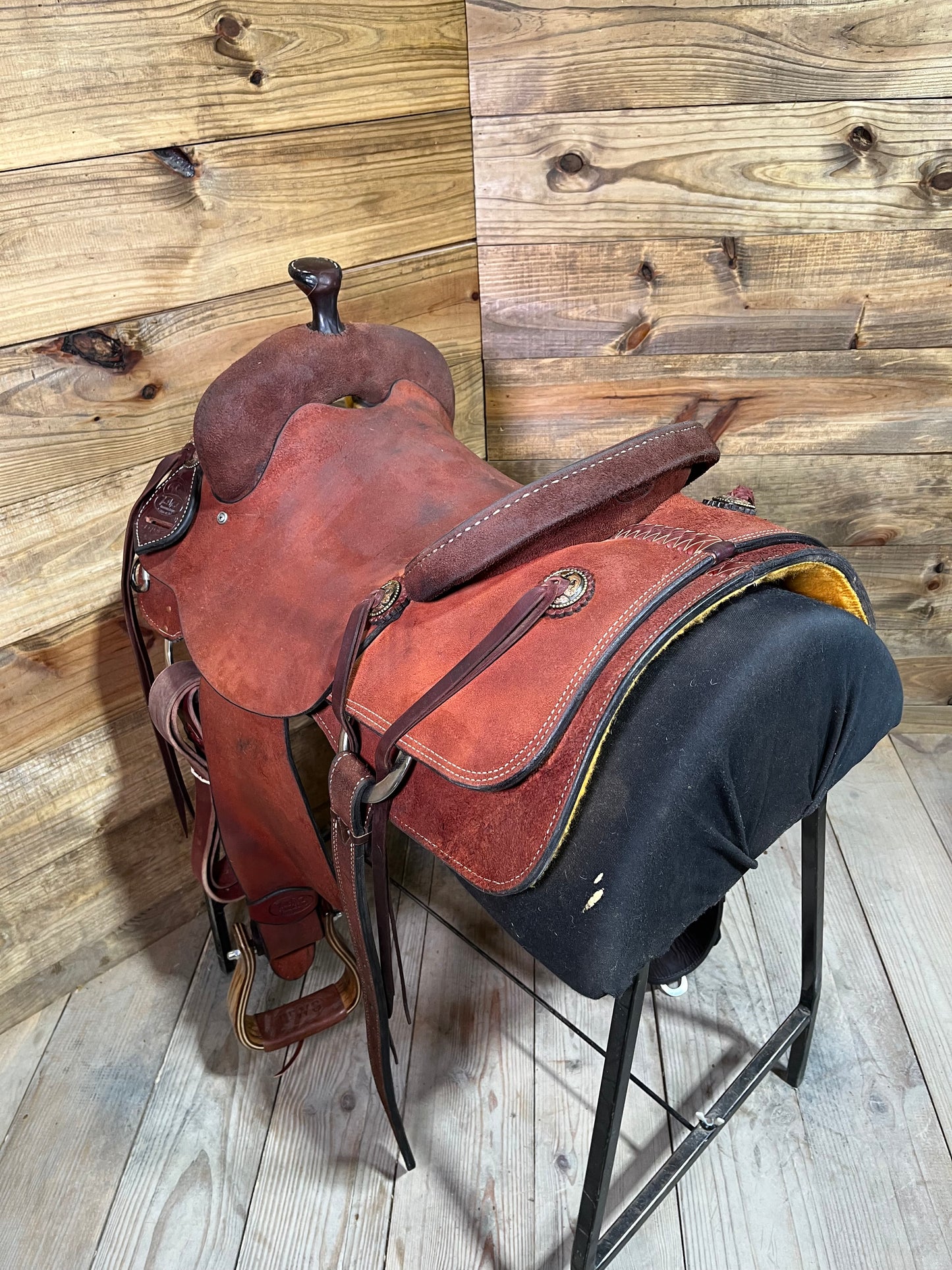 Demo Trent Ward Signature Cow Horse ISUSED1979