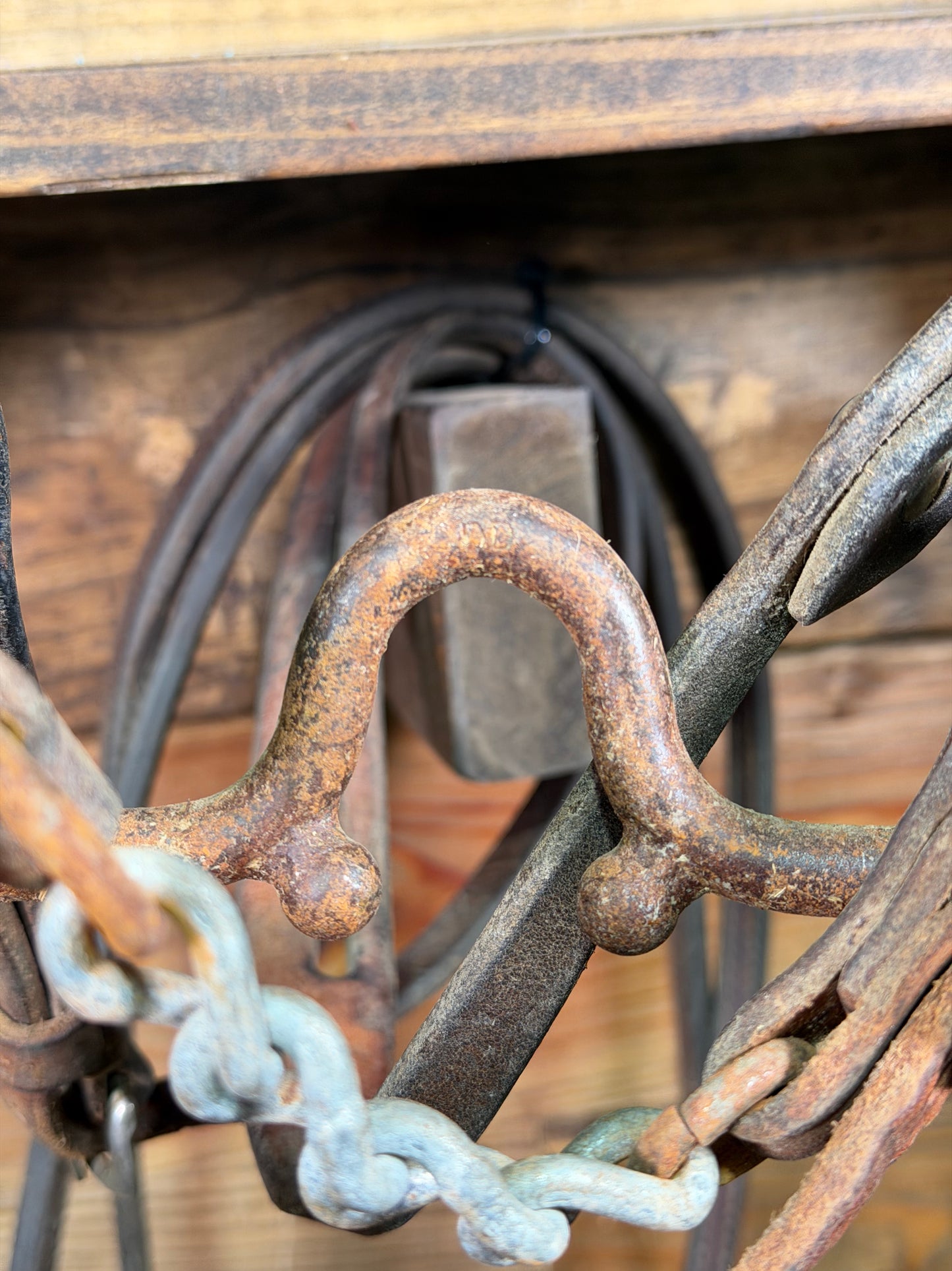 ISUB052 Daryl Davis Round C Medium Port