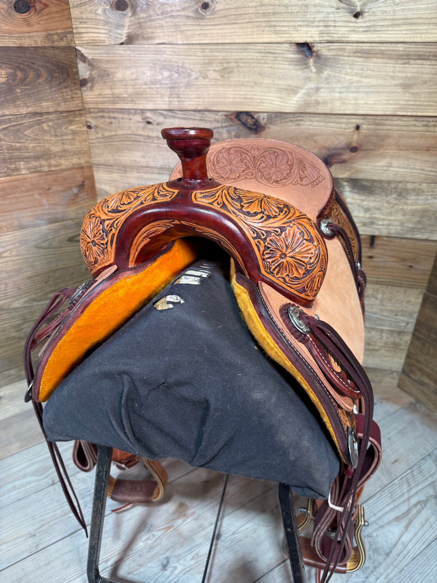 Trent Ward DL Cowhorse ISCH155-25