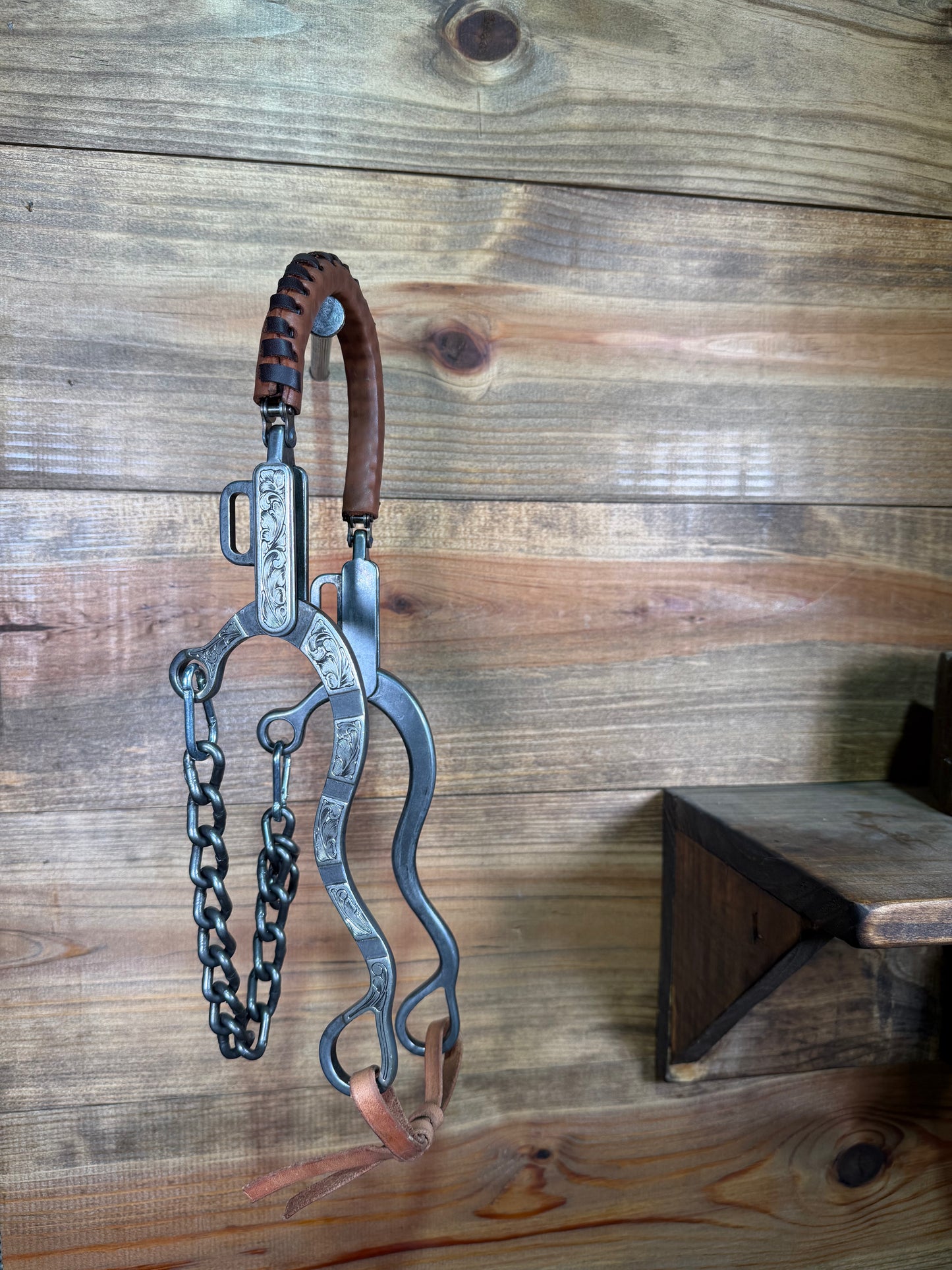 ISBIT179 Brandon Anthony Short Hackamore