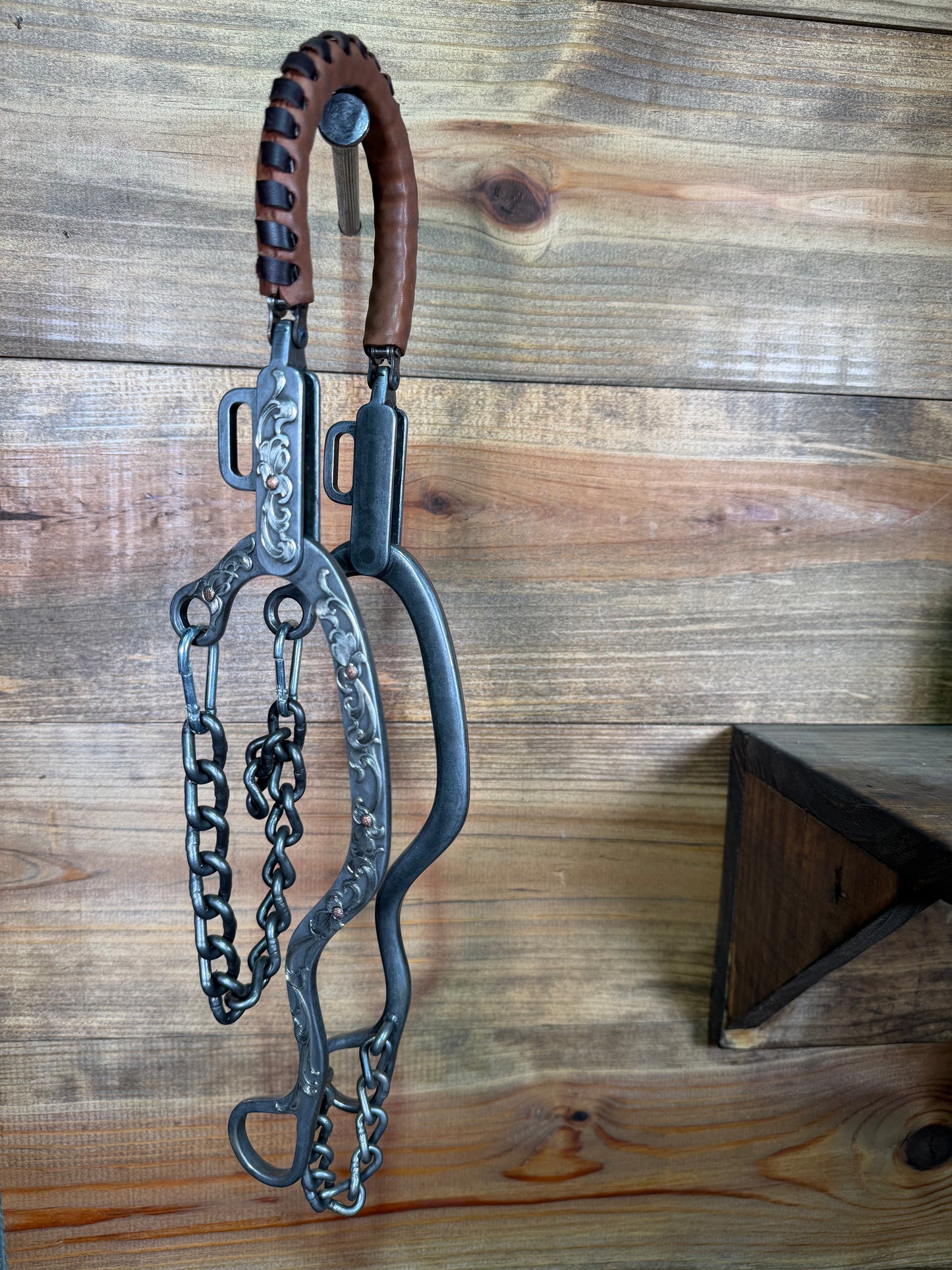 ISBIT178 Brandon Anthony Long Hackamore