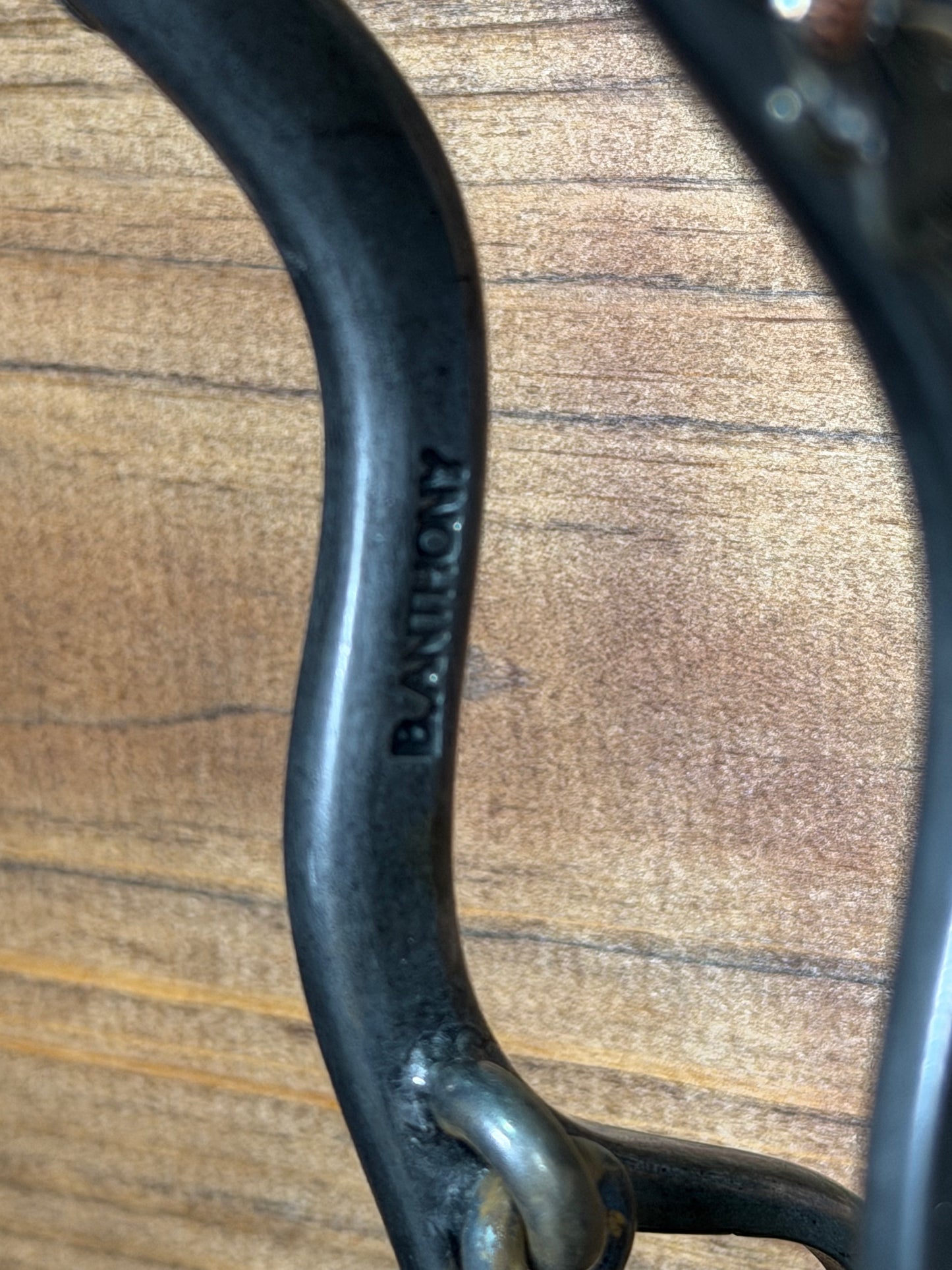 ISBIT178 Brandon Anthony Long Hackamore