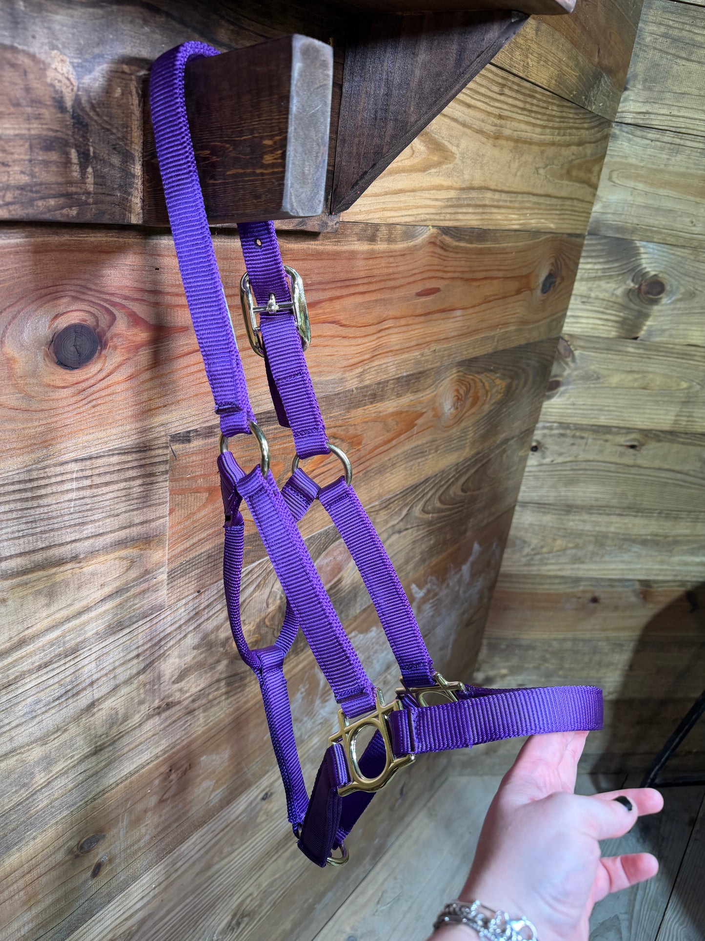 Buckle Halters