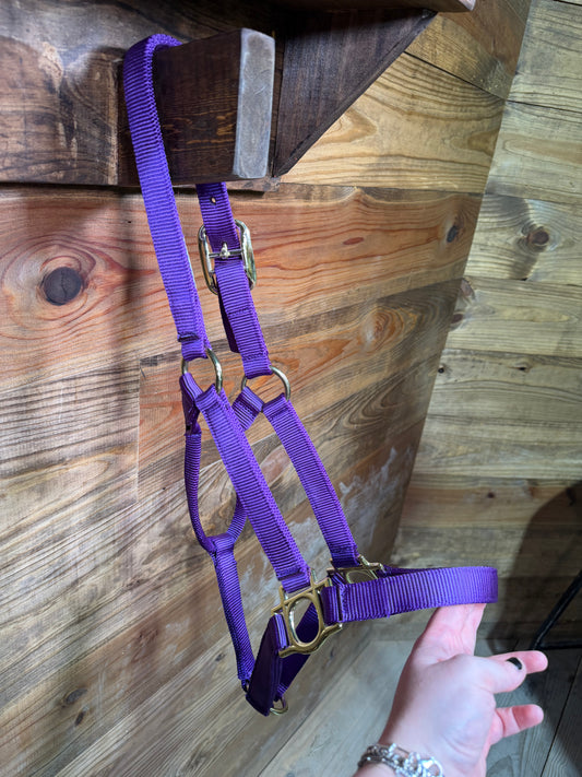 Buckle Halters