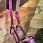 Buckle Halters
