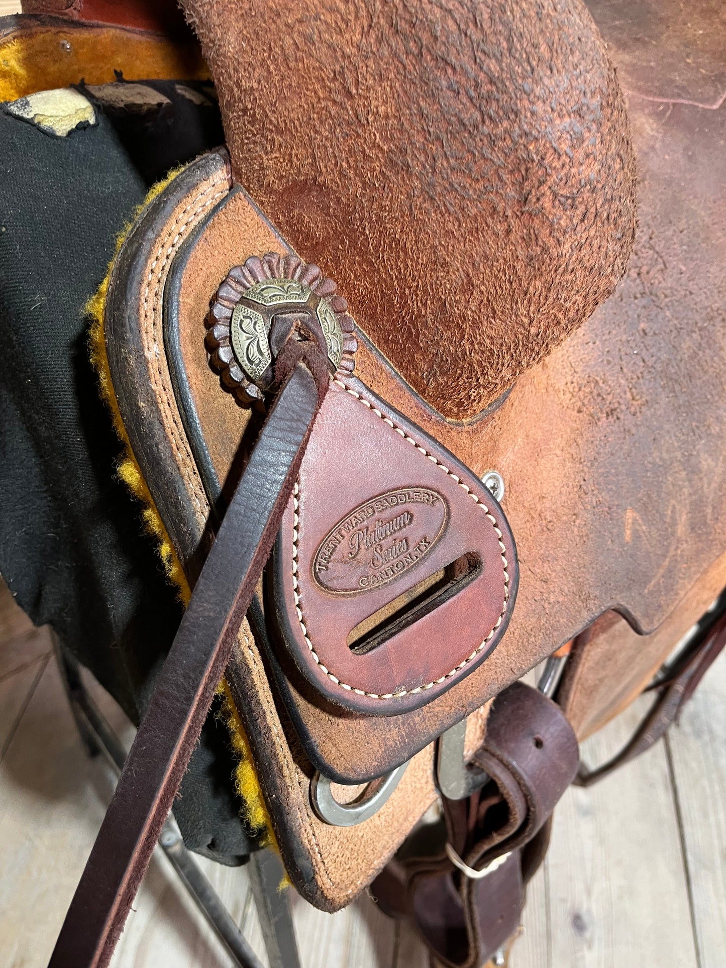 Trent Ward Platinum Roper ISUSED2003