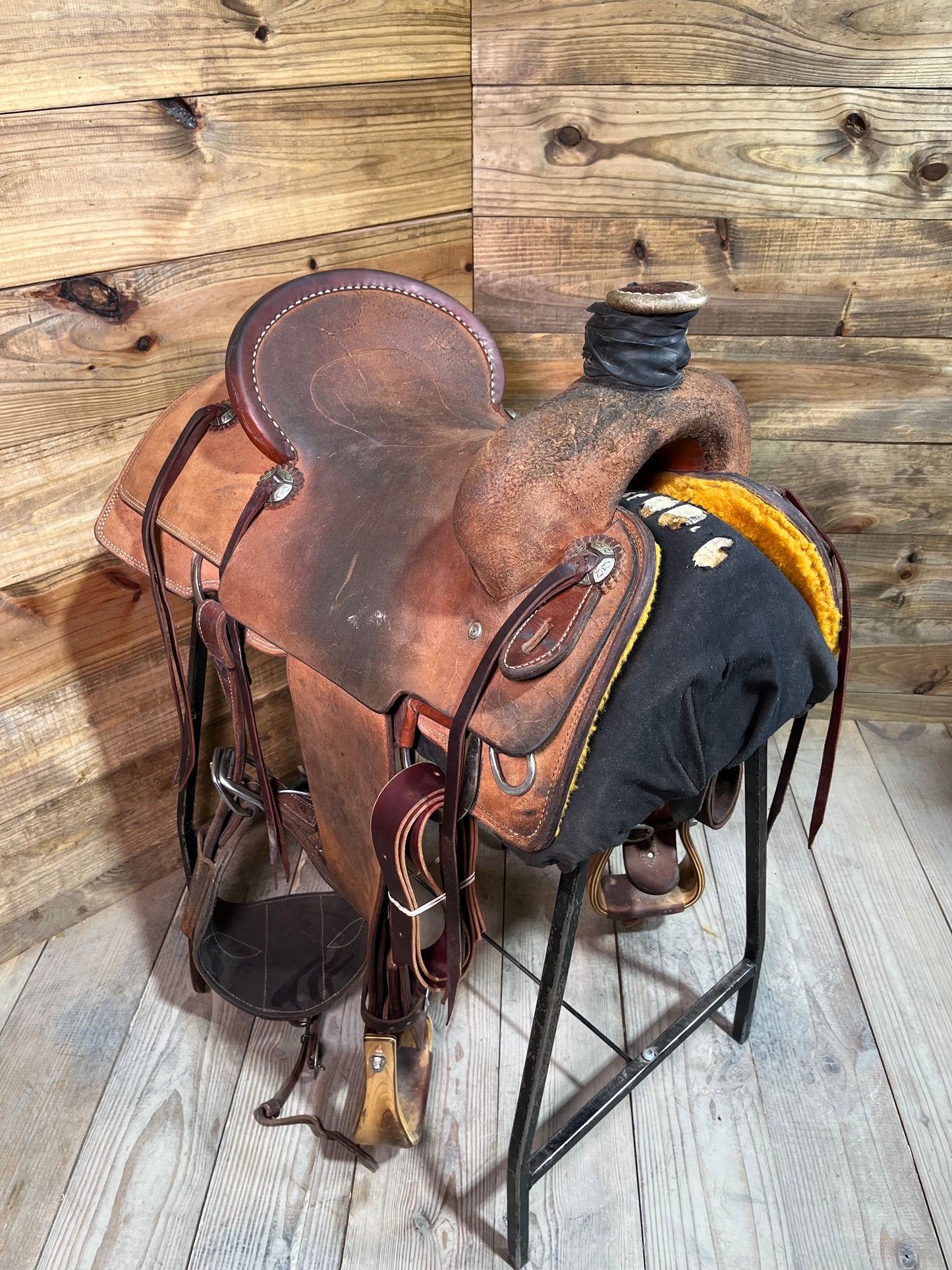 Trent Ward Platinum Roper ISUSED2003