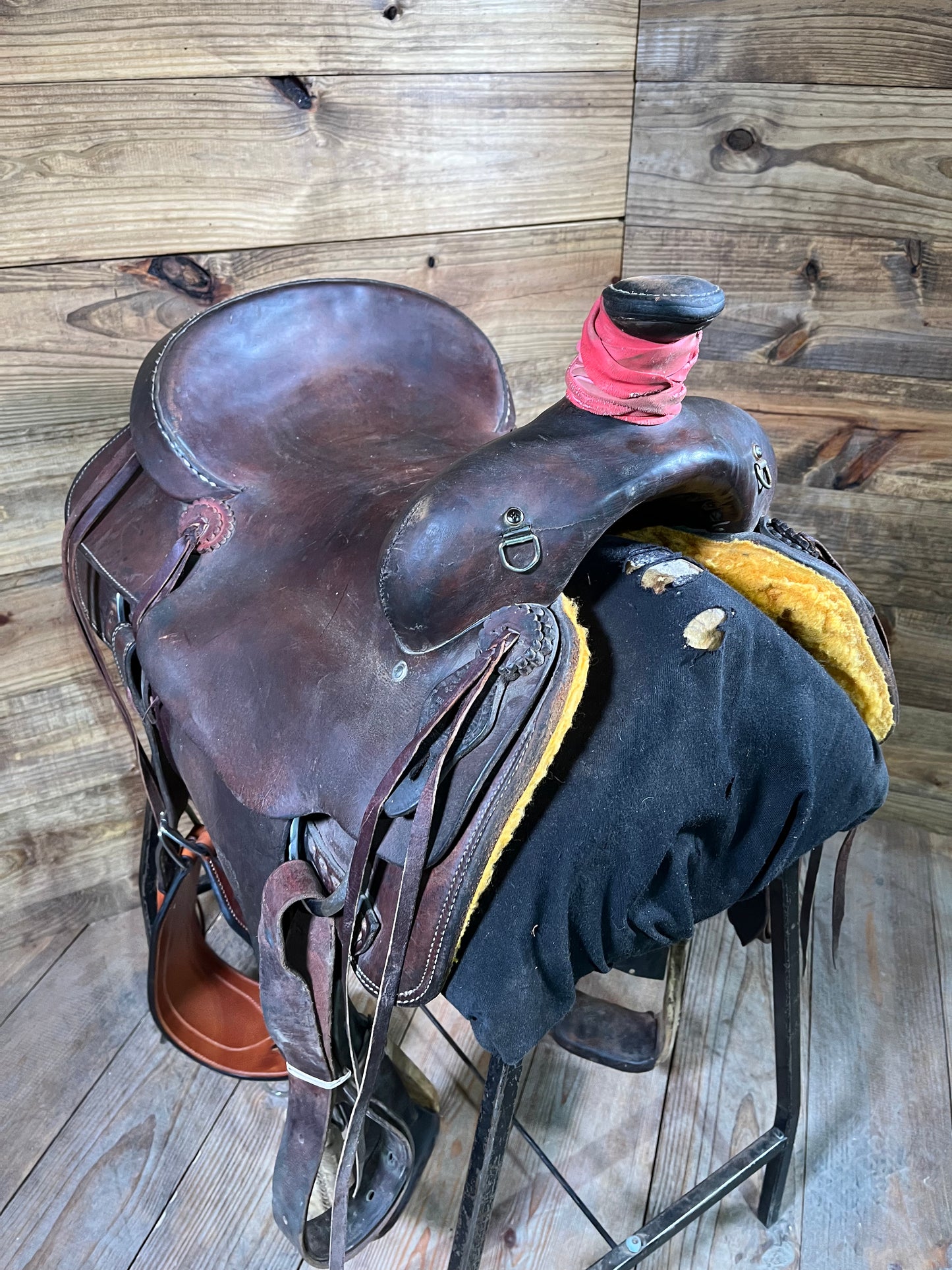 Benton Moore Ranch Roper ISUSED1318