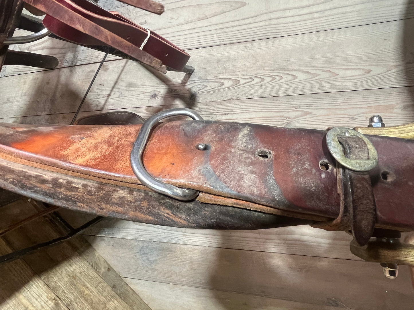 Tad Sanders Roper ISUSED2041