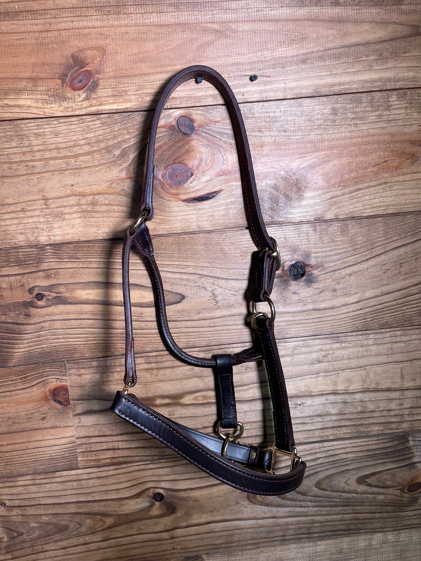 Leather Horse Halter