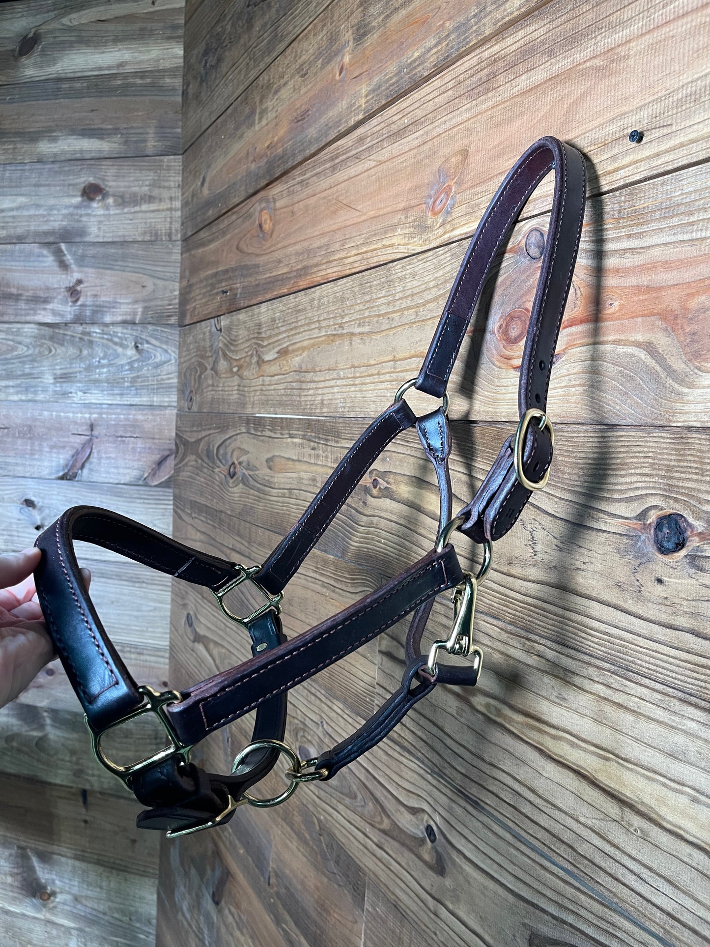 Leather Horse Halter