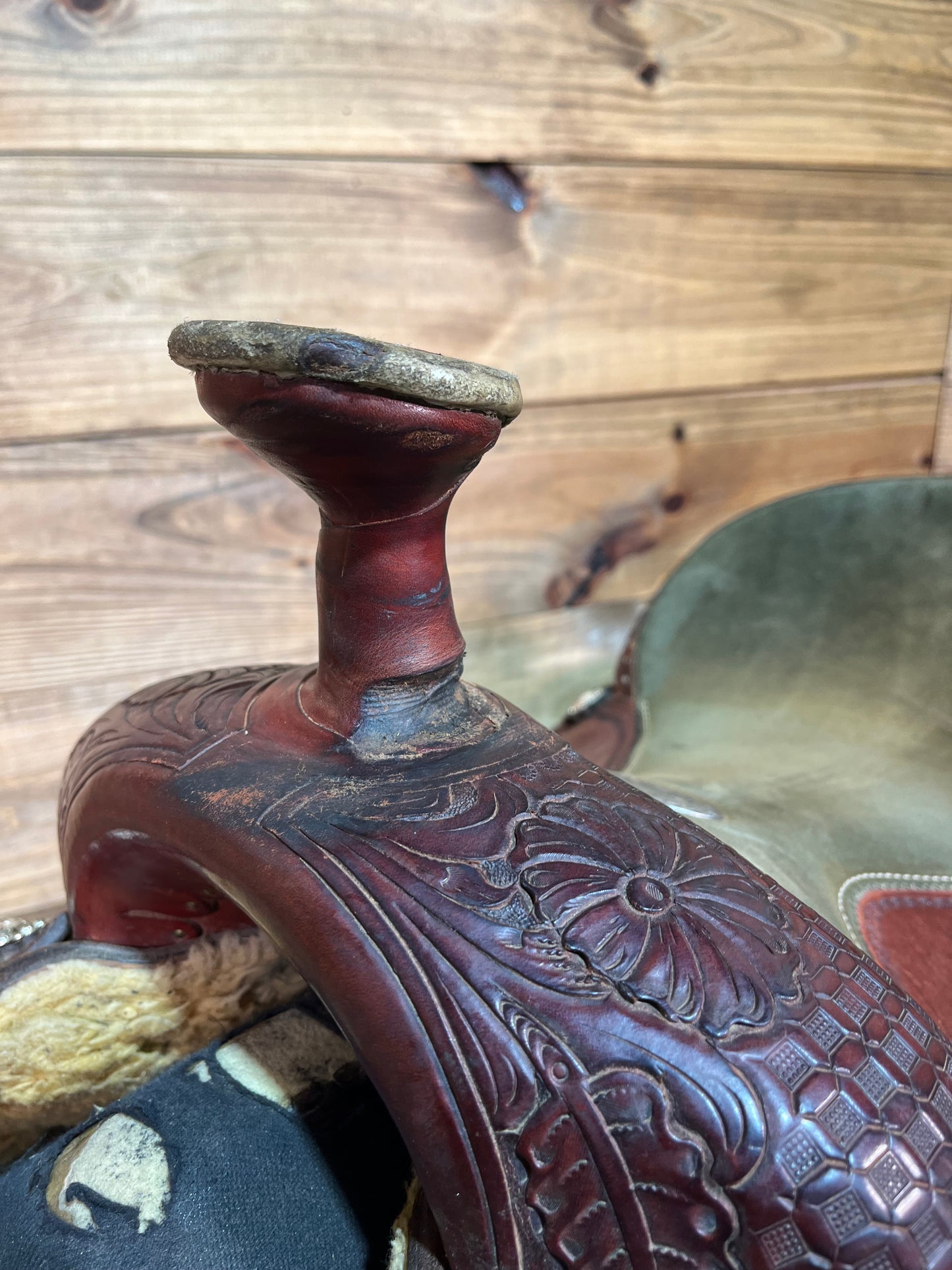 Martin Roper ISUSED2088