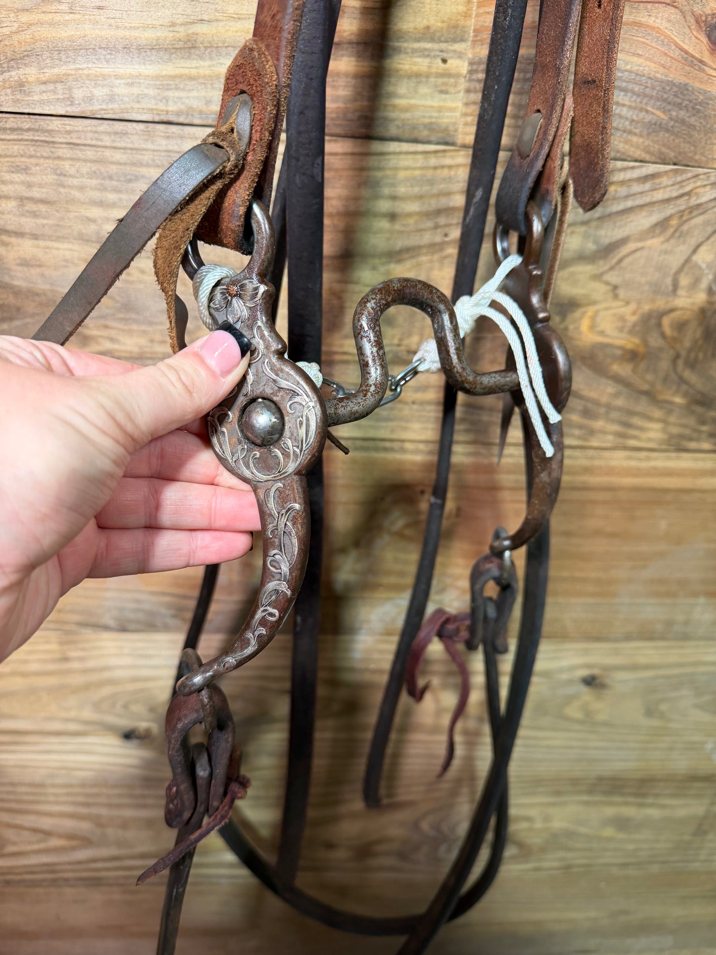 ISUB086 Mounted Shanks Brandon Anthony Loomis Port