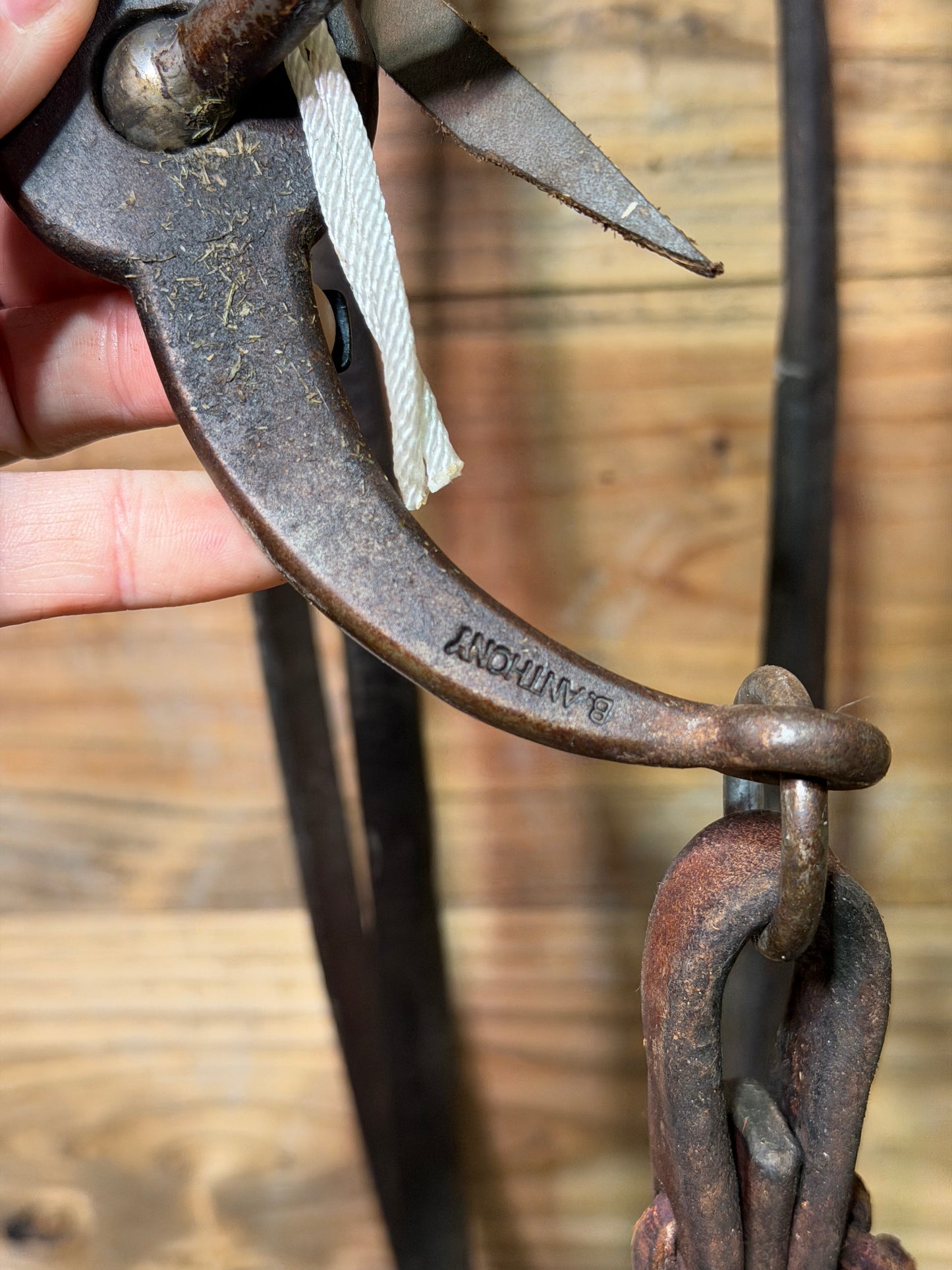 ISUB086 Mounted Shanks Brandon Anthony Loomis Port
