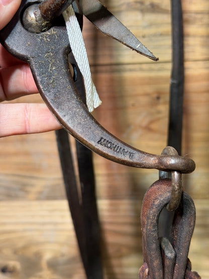 ISUB086 Mounted Shanks Brandon Anthony Loomis Port