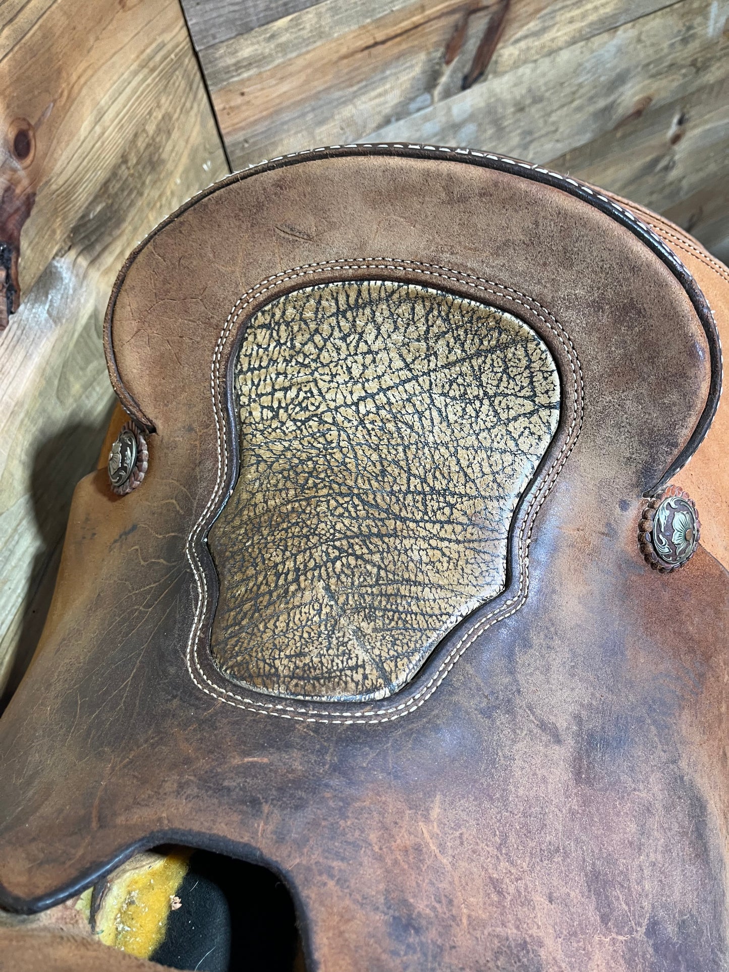 Trent Ward Platinum Roper ISUSED2155