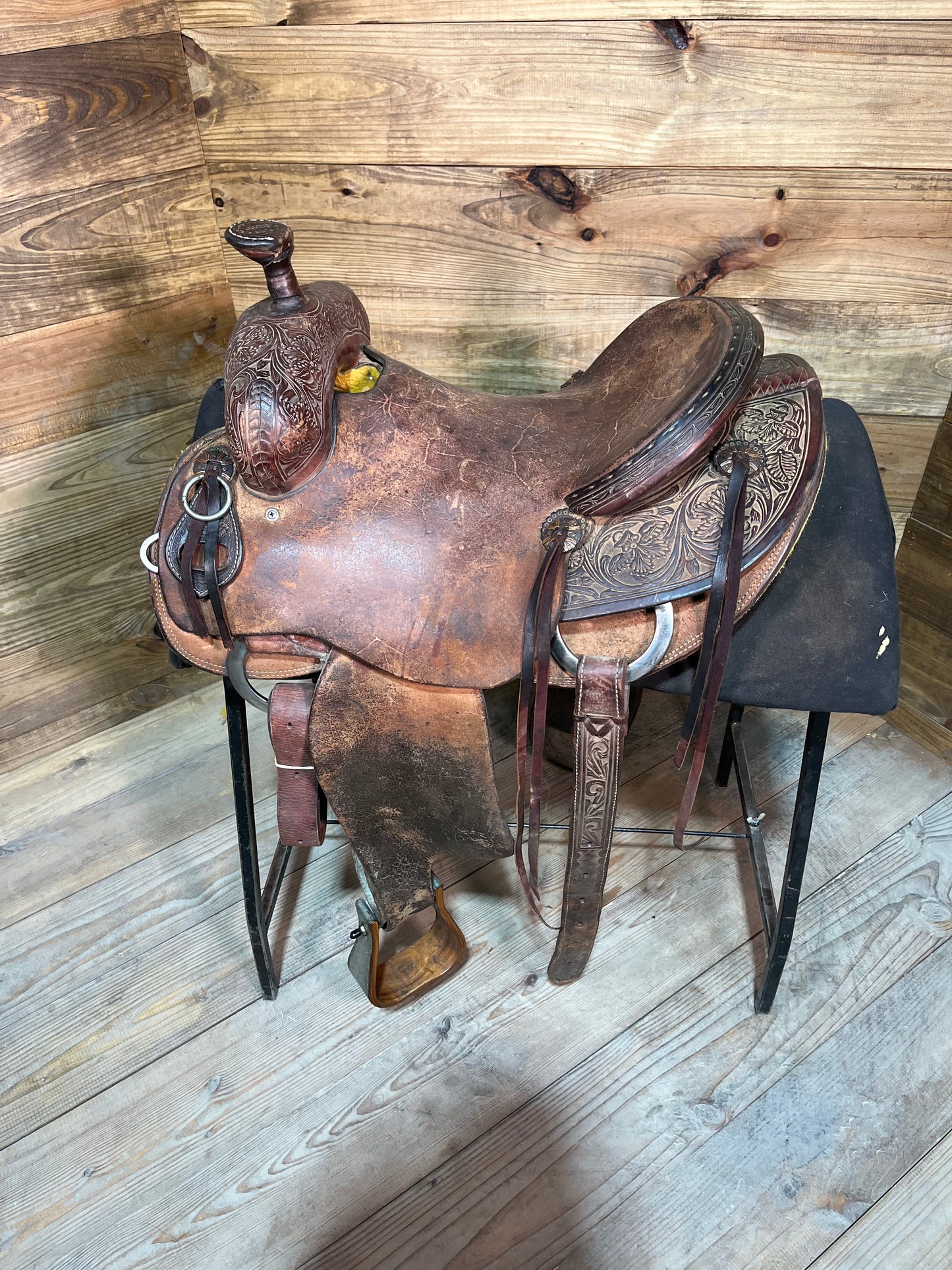 Teskeys Ranch Roper ISUSED1459