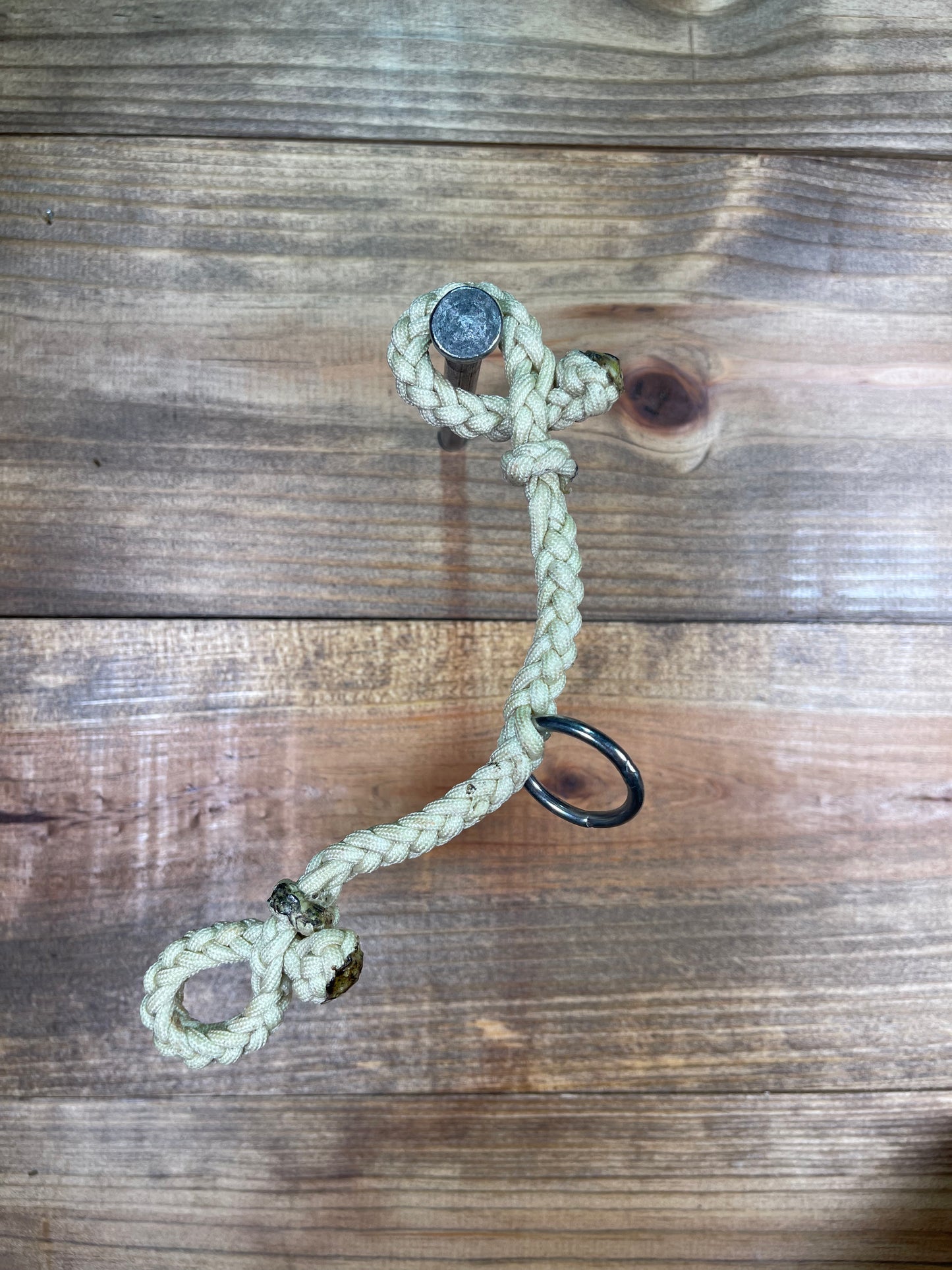Nylon Bit Hobble w/ Ring