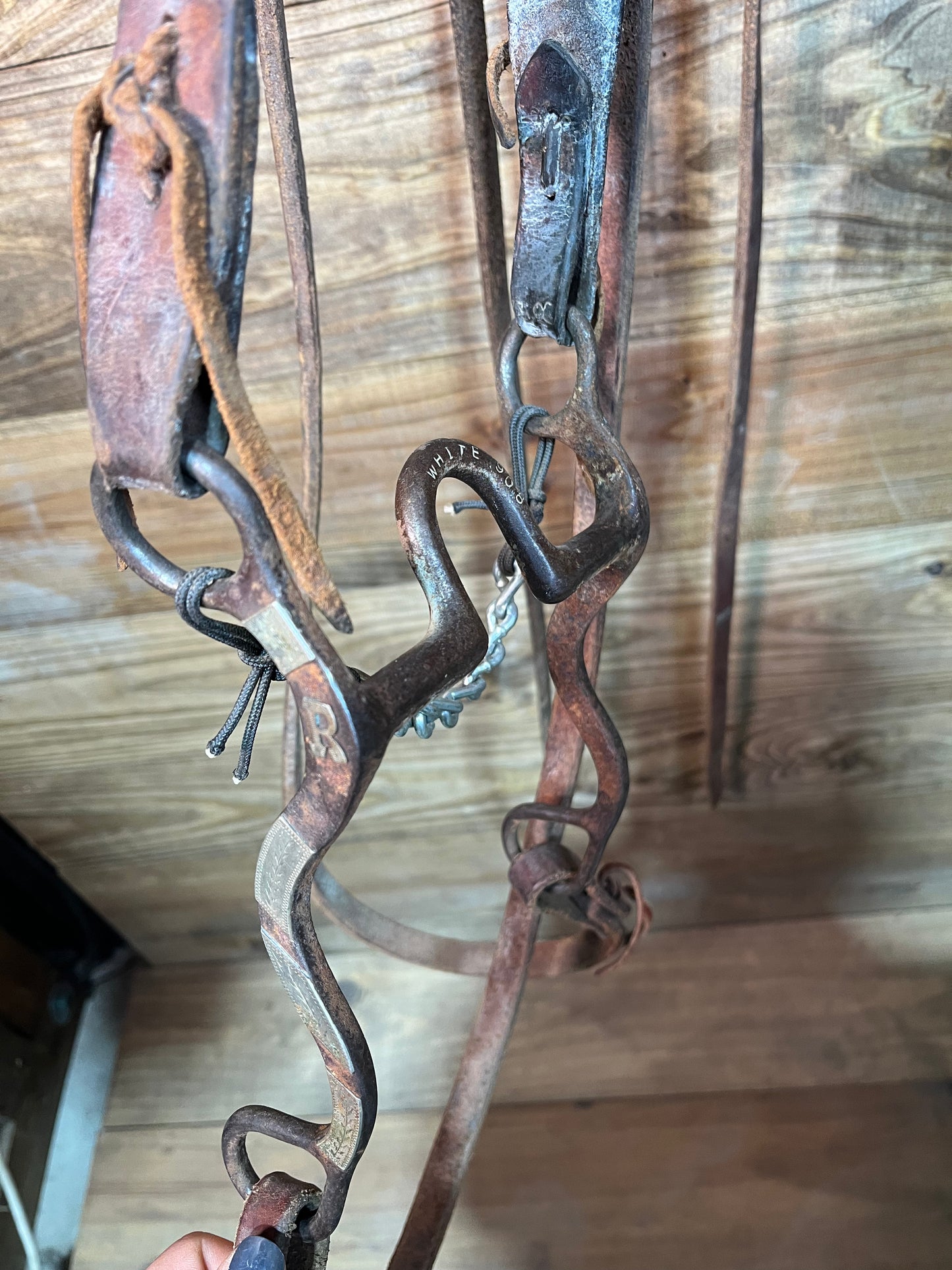 ISUB017 Stephen White Bridle